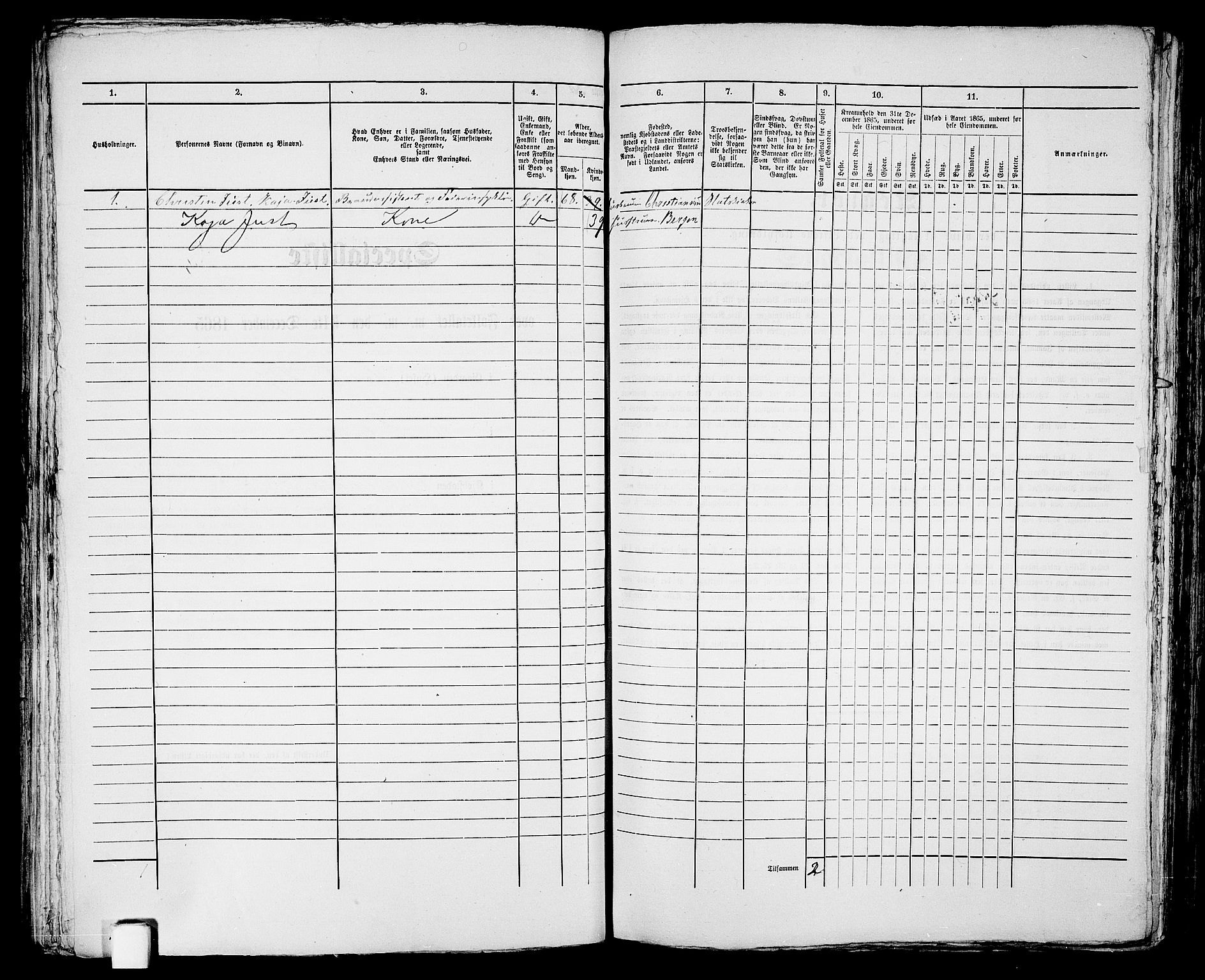 RA, 1865 census for Kristiansand, 1865, p. 696