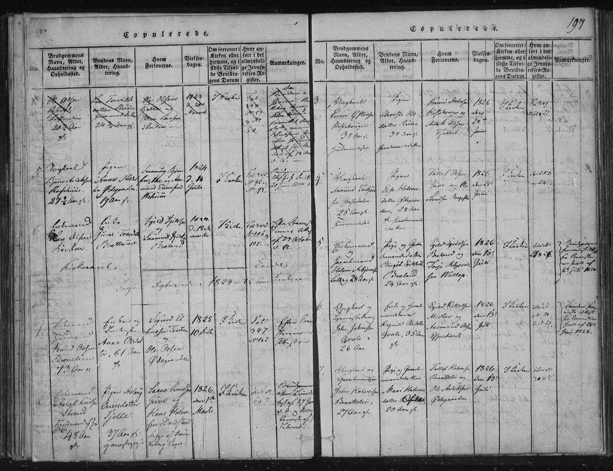 Lårdal kirkebøker, SAKO/A-284/F/Fc/L0001: Parish register (official) no. III 1, 1815-1860, p. 197