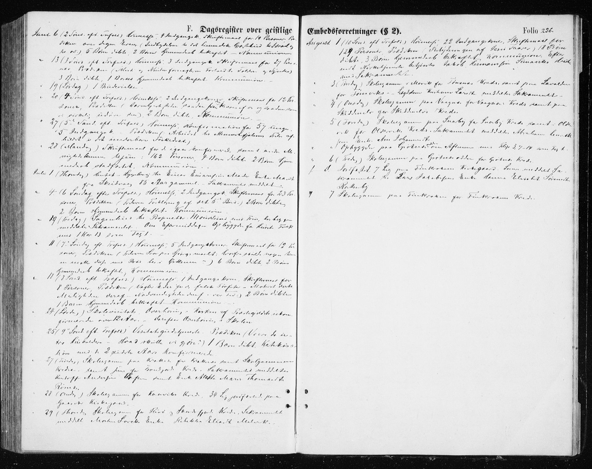 Tromsøysund sokneprestkontor, SATØ/S-1304/G/Ga/L0003kirke: Parish register (official) no. 3, 1875-1880, p. 236