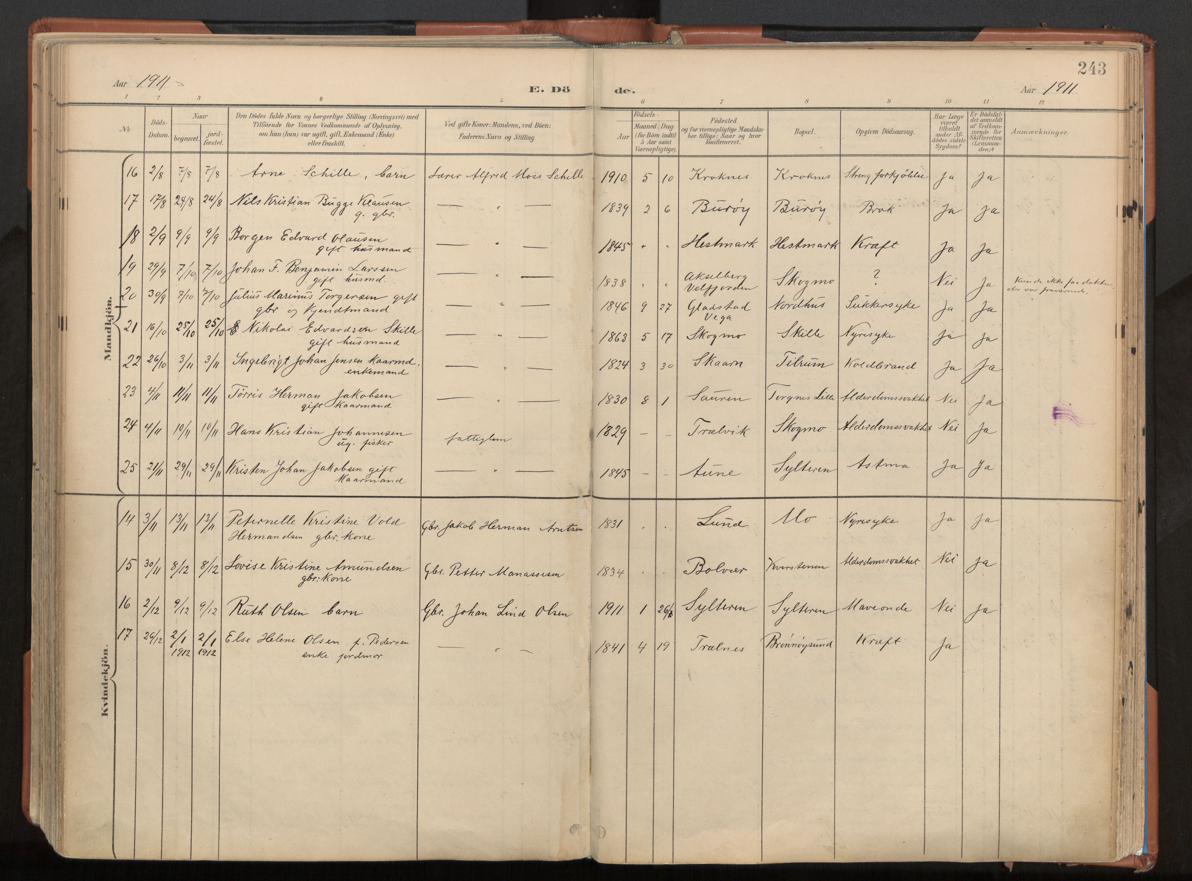 Ministerialprotokoller, klokkerbøker og fødselsregistre - Nordland, AV/SAT-A-1459/813/L0201: Parish register (official) no. 813A11, 1901-1918, p. 243