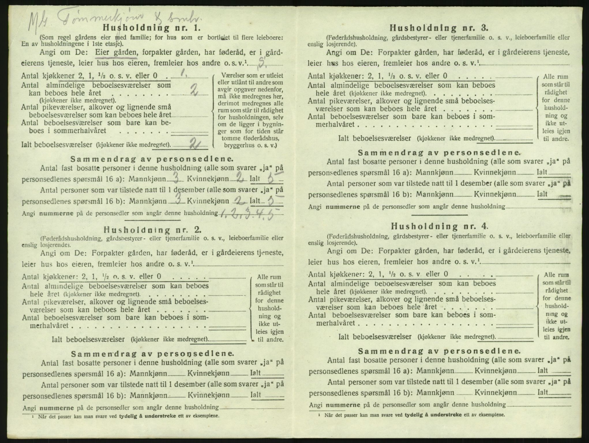 SAKO, 1920 census for Lardal, 1920, p. 920