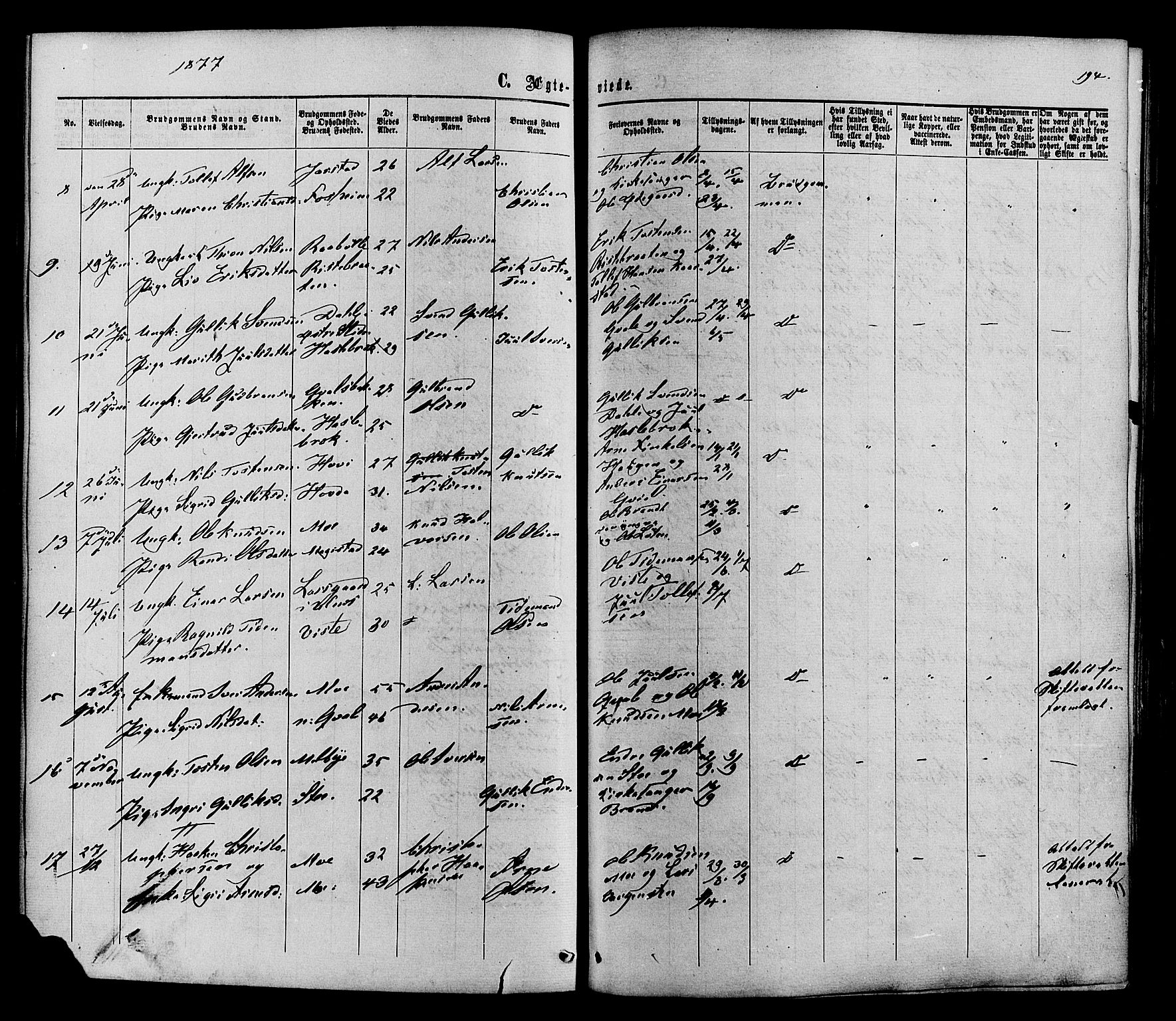 Vestre Slidre prestekontor, SAH/PREST-136/H/Ha/Haa/L0003: Parish register (official) no. 3, 1865-1880, p. 194