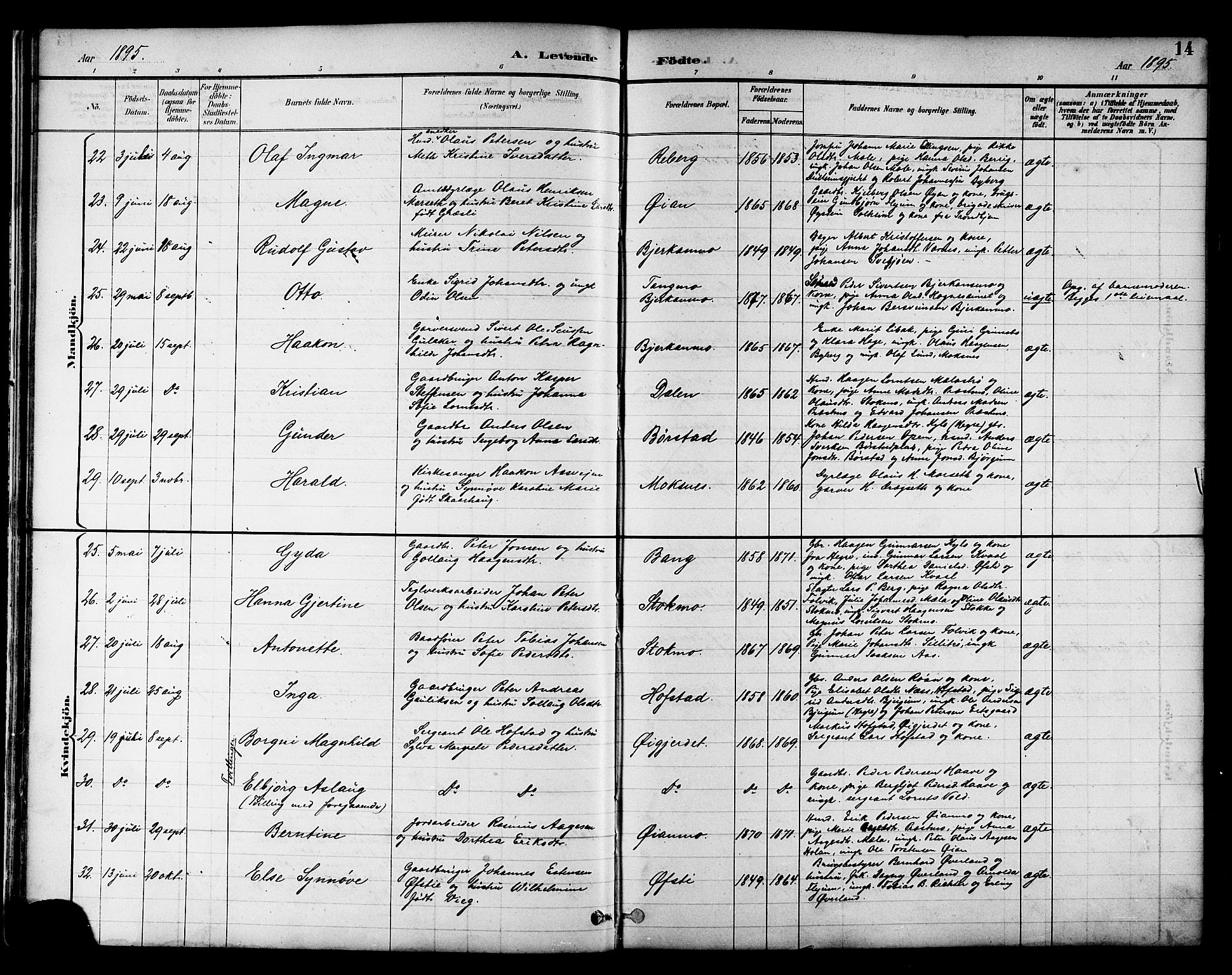 Ministerialprotokoller, klokkerbøker og fødselsregistre - Nord-Trøndelag, AV/SAT-A-1458/709/L0087: Parish register (copy) no. 709C01, 1892-1913, p. 14