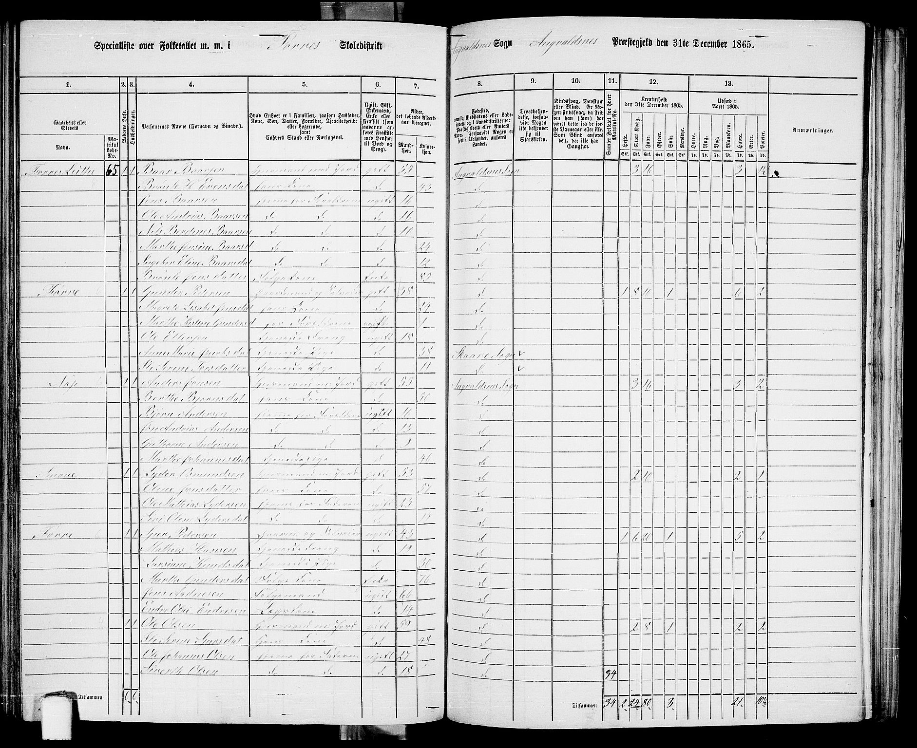 RA, 1865 census for Avaldsnes, 1865, p. 196