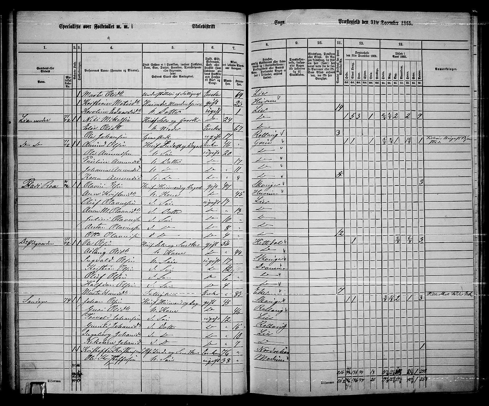 RA, 1865 census for Lier, 1865, p. 48