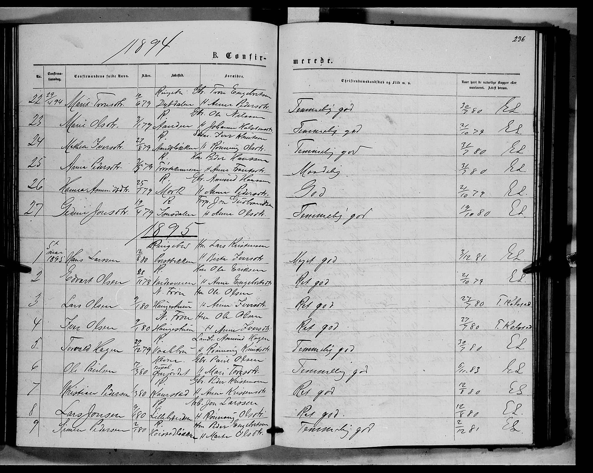 Ringebu prestekontor, SAH/PREST-082/H/Ha/Hab/L0006: Parish register (copy) no. 6, 1880-1898, p. 236