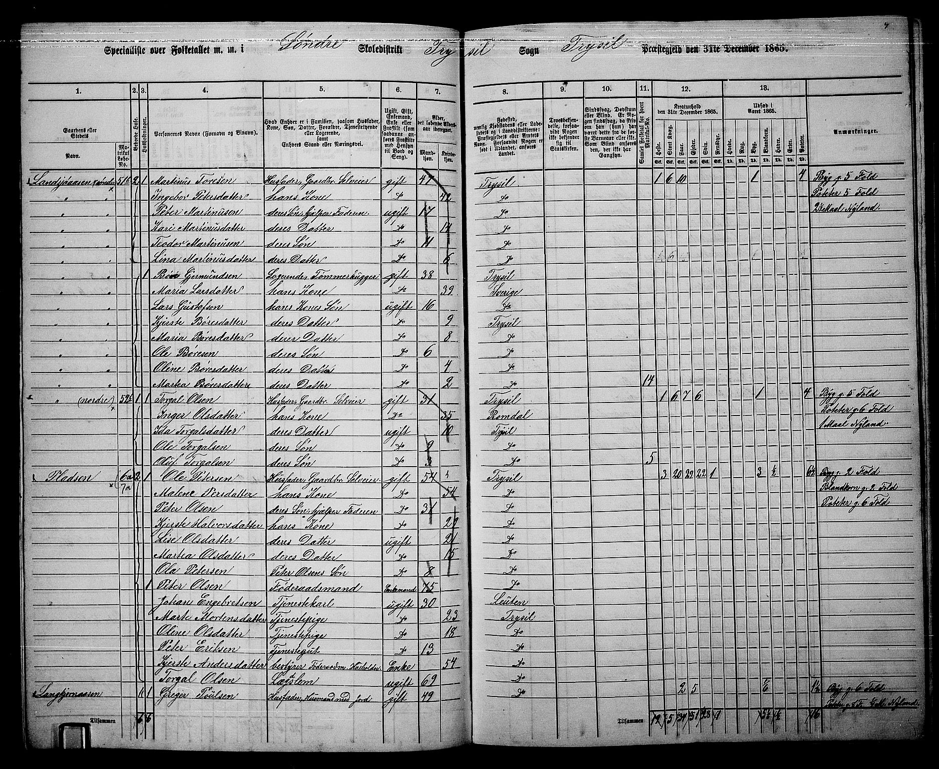 RA, 1865 census for Trysil, 1865, p. 95