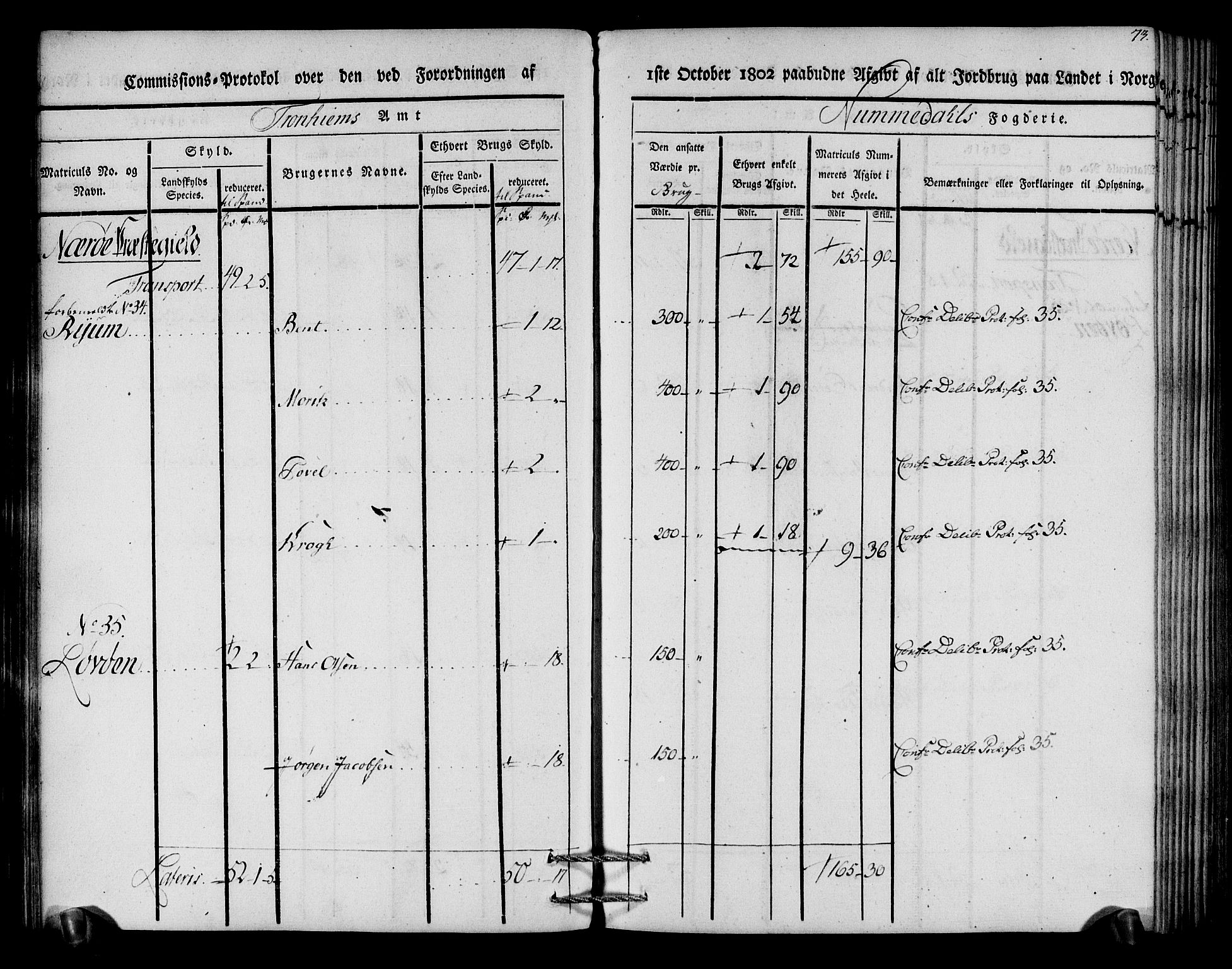 Rentekammeret inntil 1814, Realistisk ordnet avdeling, RA/EA-4070/N/Ne/Nea/L0154: Namdalen fogderi. Kommisjonsprotokoll, 1803, p. 74