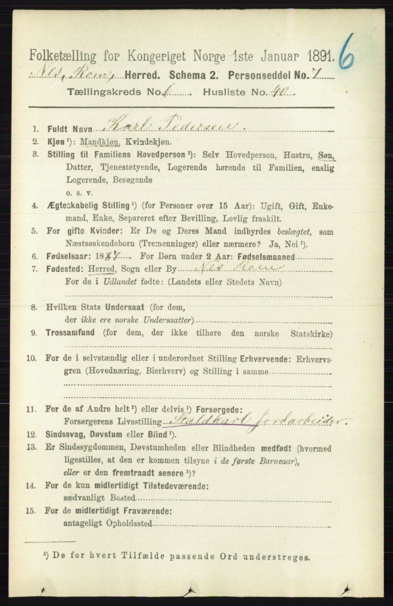 RA, 1891 census for 0236 Nes, 1891, p. 3633