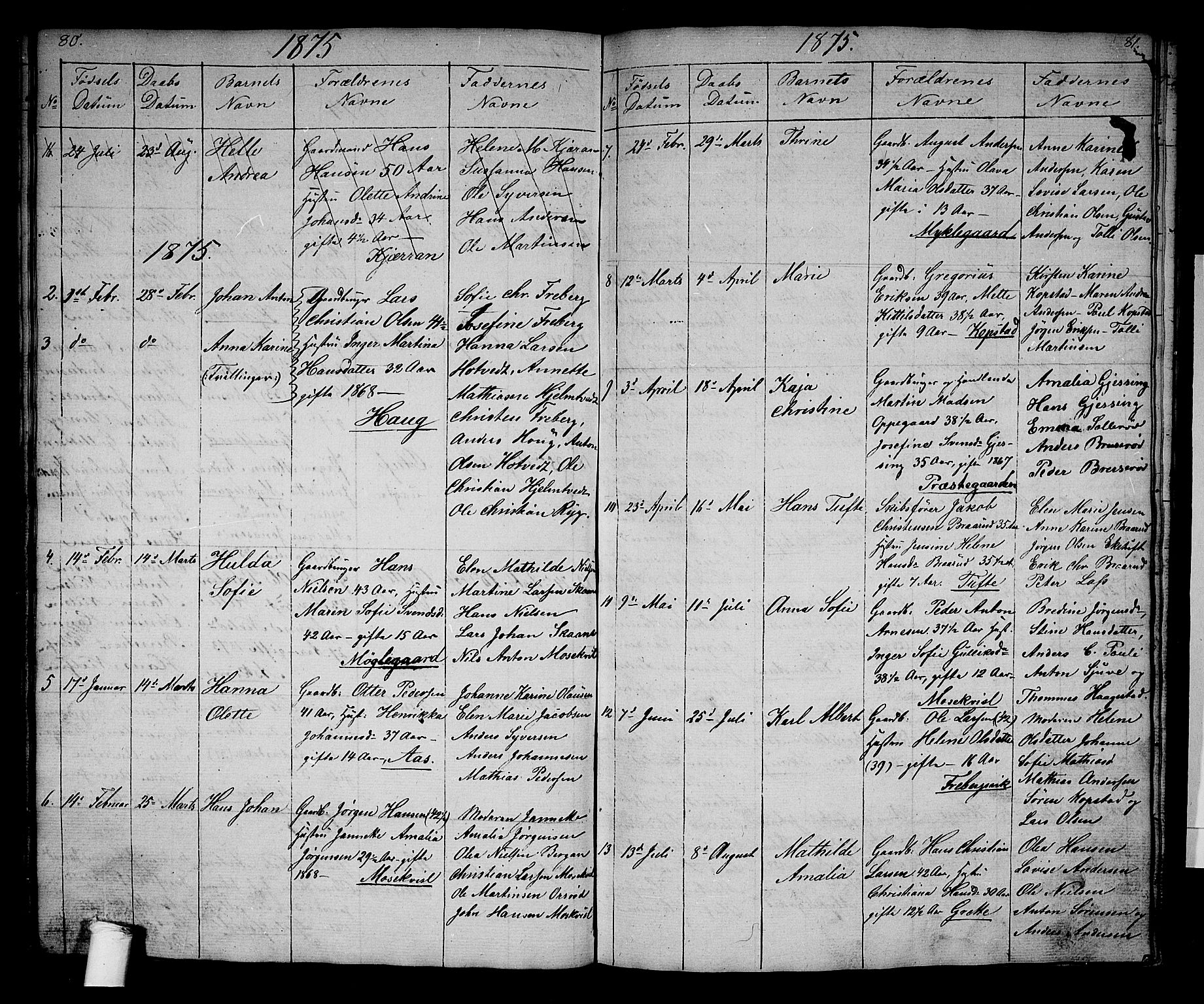 Borre kirkebøker, AV/SAKO-A-338/G/Gb/L0001: Parish register (copy) no. II 1, 1842-1877, p. 80-81