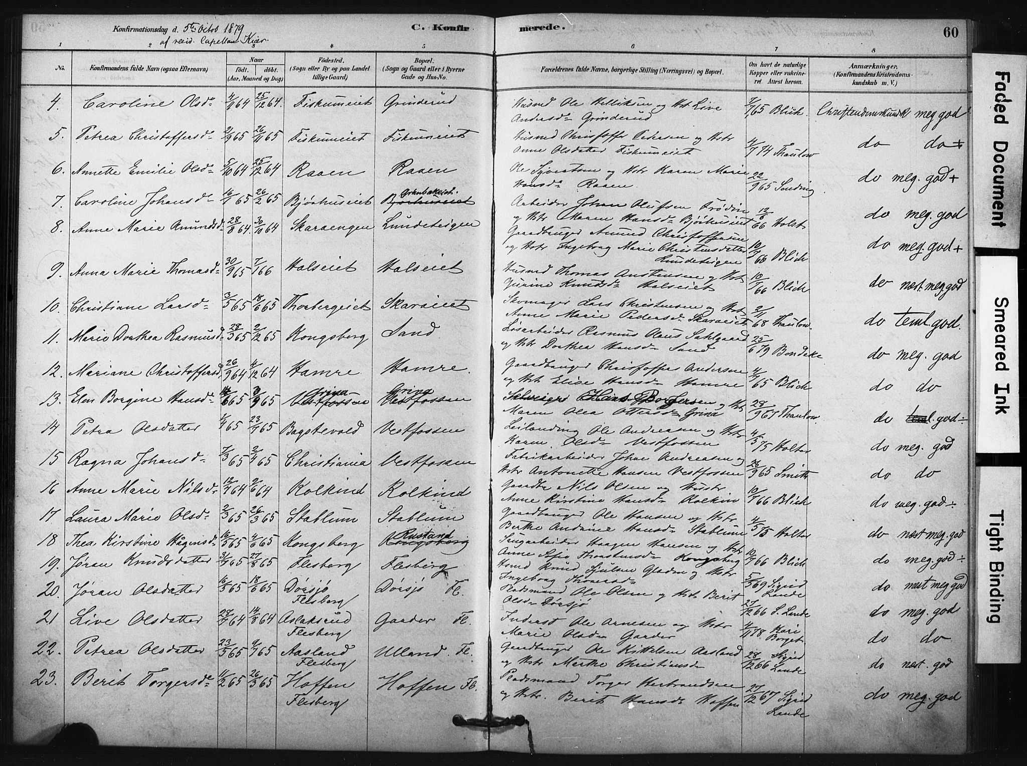 Fiskum kirkebøker, AV/SAKO-A-15/F/Fa/L0002: Parish register (official) no. 2, 1878-1890, p. 60