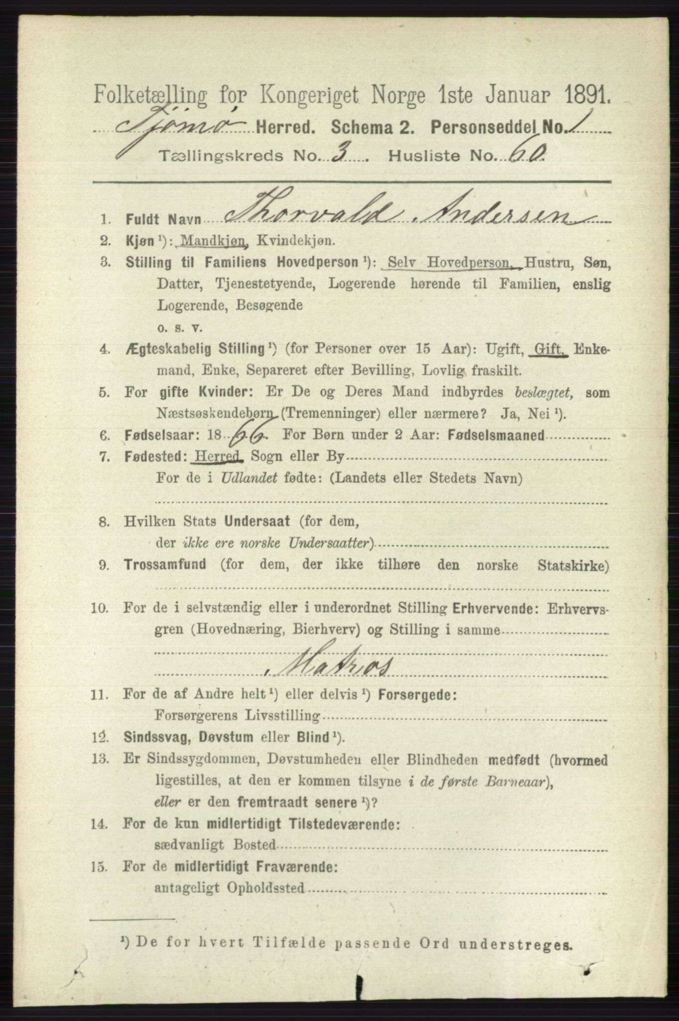 RA, 1891 census for 0723 Tjøme, 1891, p. 1207