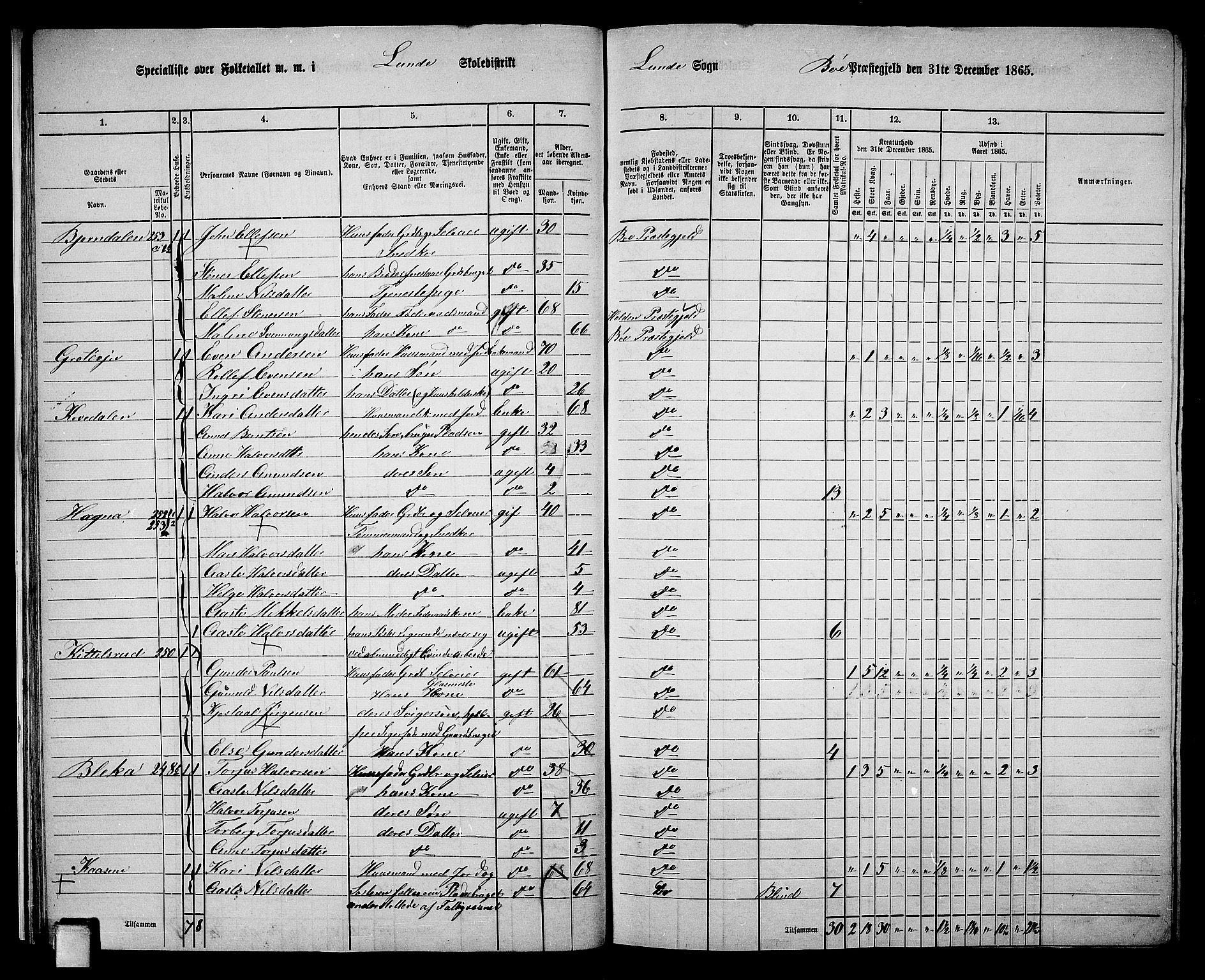 RA, 1865 census for Bø, 1865, p. 26