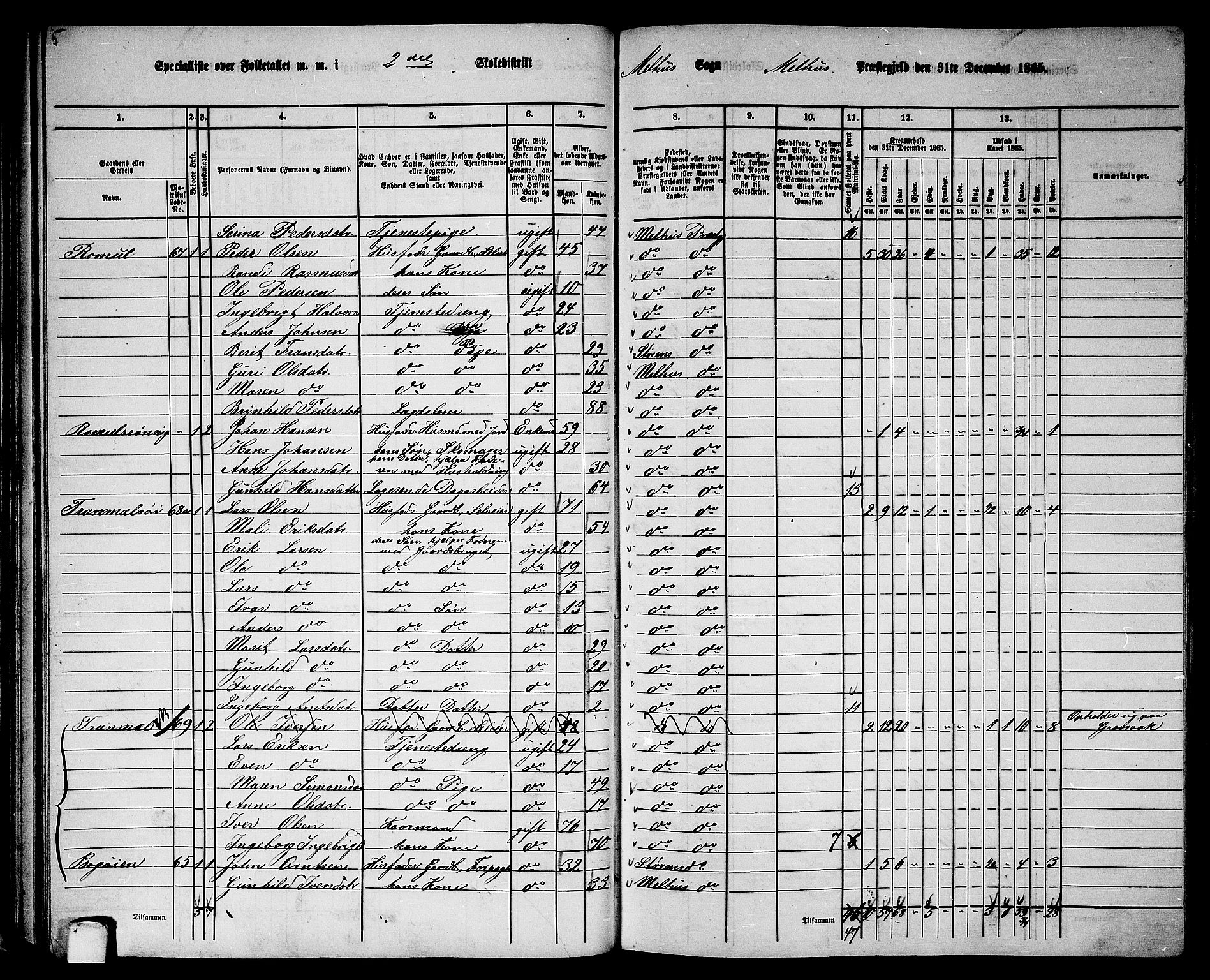 RA, 1865 census for Melhus, 1865, p. 54