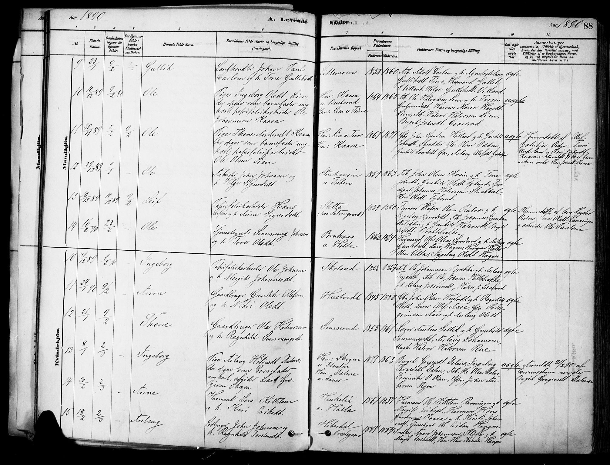 Heddal kirkebøker, AV/SAKO-A-268/F/Fa/L0008: Parish register (official) no. I 8, 1878-1903, p. 88