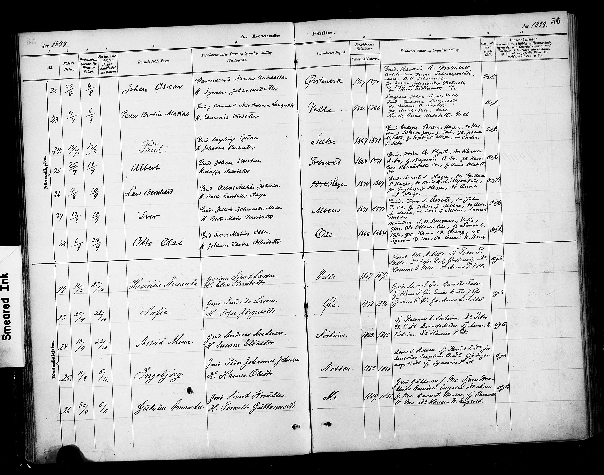 Ministerialprotokoller, klokkerbøker og fødselsregistre - Møre og Romsdal, AV/SAT-A-1454/513/L0177: Parish register (official) no. 513A04, 1890-1906, p. 56