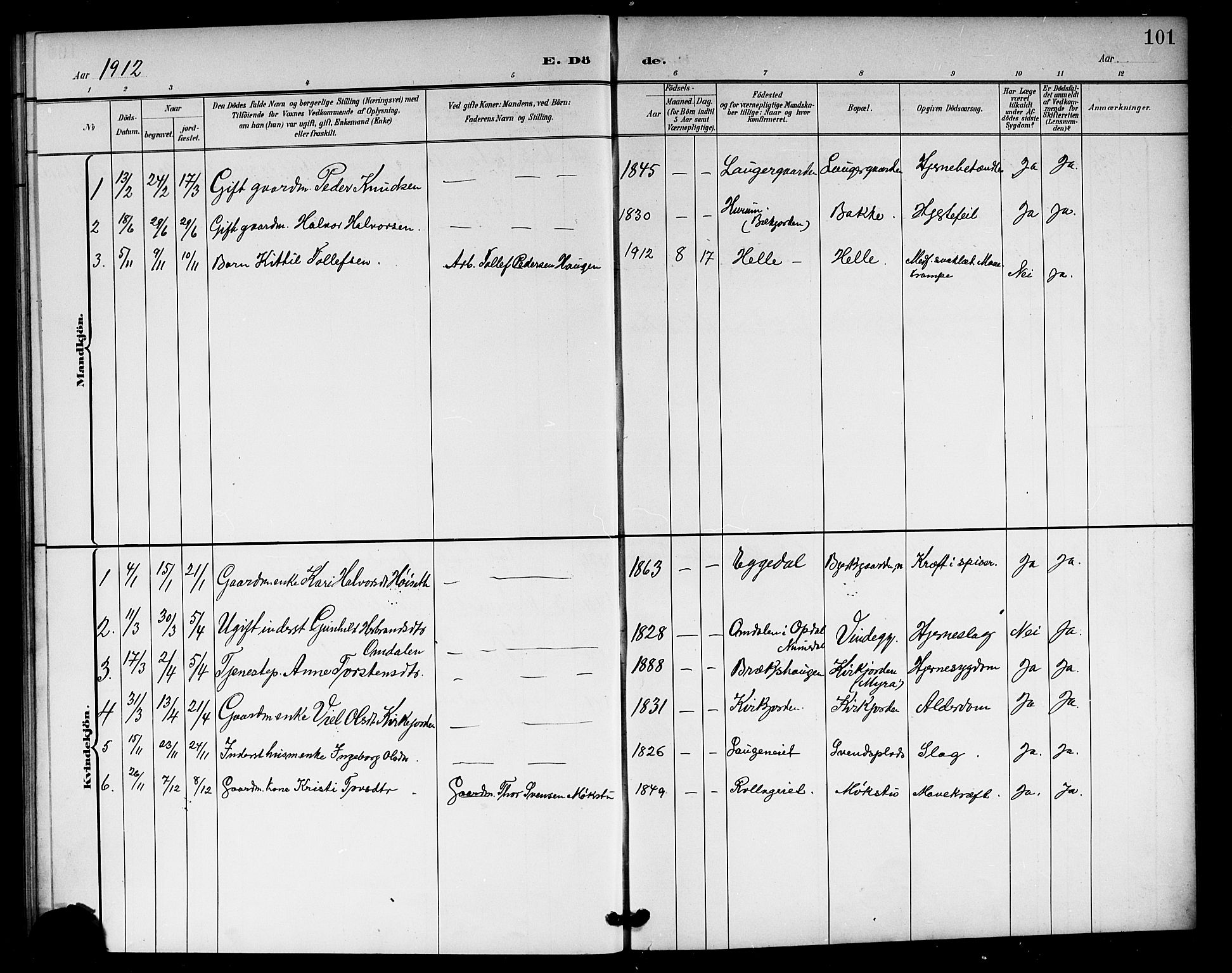 Rollag kirkebøker, SAKO/A-240/G/Gb/L0003: Parish register (copy) no. II 3, 1897-1919, p. 101