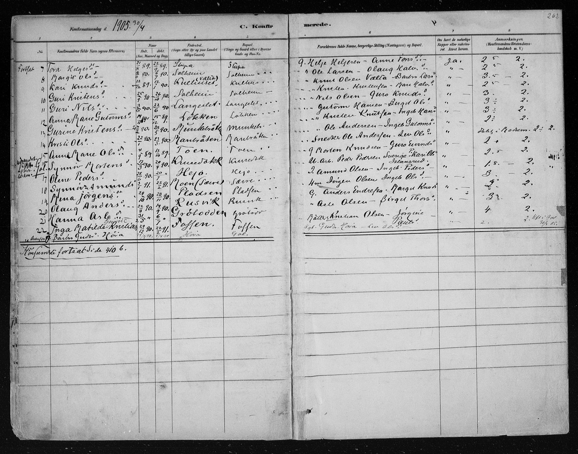 Nes kirkebøker, AV/SAKO-A-236/F/Fa/L0011: Parish register (official) no. 11, 1881-1912, p. 262