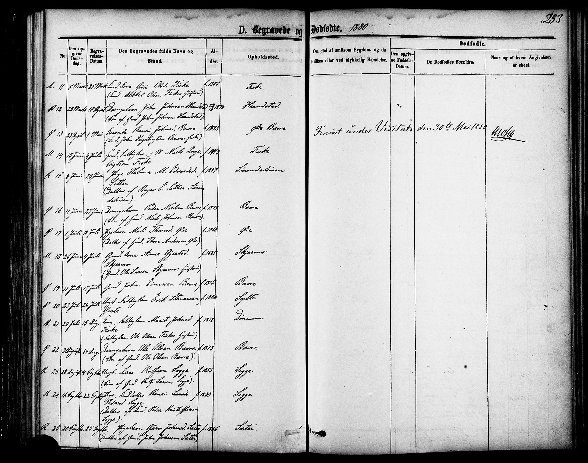 Ministerialprotokoller, klokkerbøker og fødselsregistre - Møre og Romsdal, SAT/A-1454/595/L1046: Parish register (official) no. 595A08, 1874-1884, p. 253