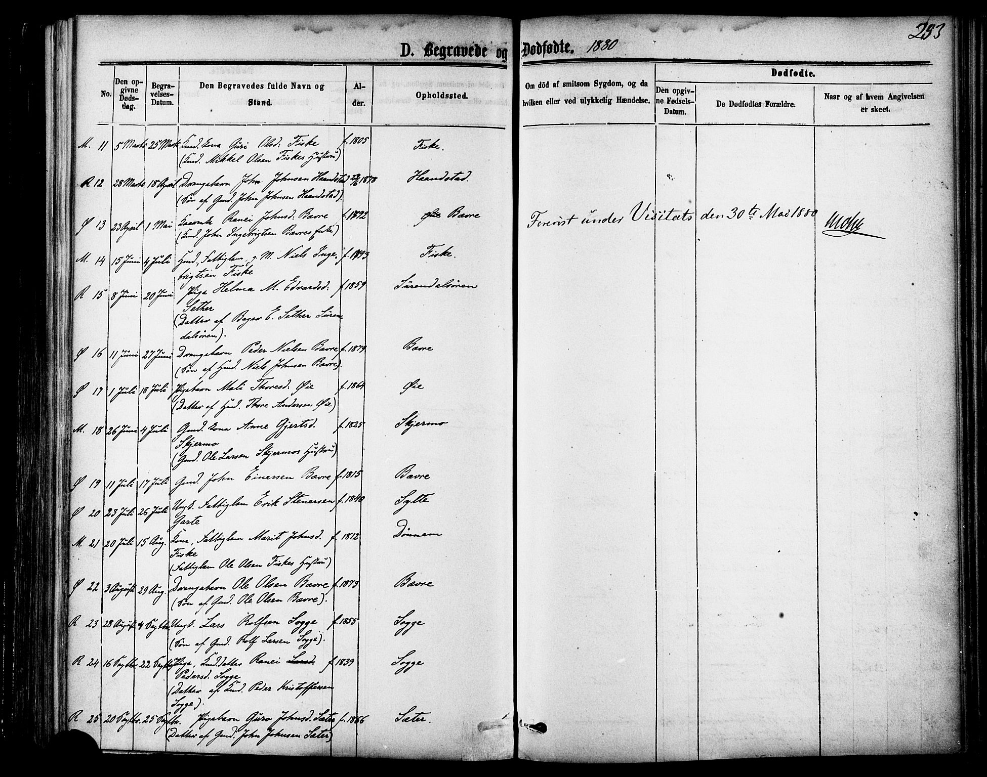 Ministerialprotokoller, klokkerbøker og fødselsregistre - Møre og Romsdal, AV/SAT-A-1454/595/L1046: Parish register (official) no. 595A08, 1874-1884, p. 253