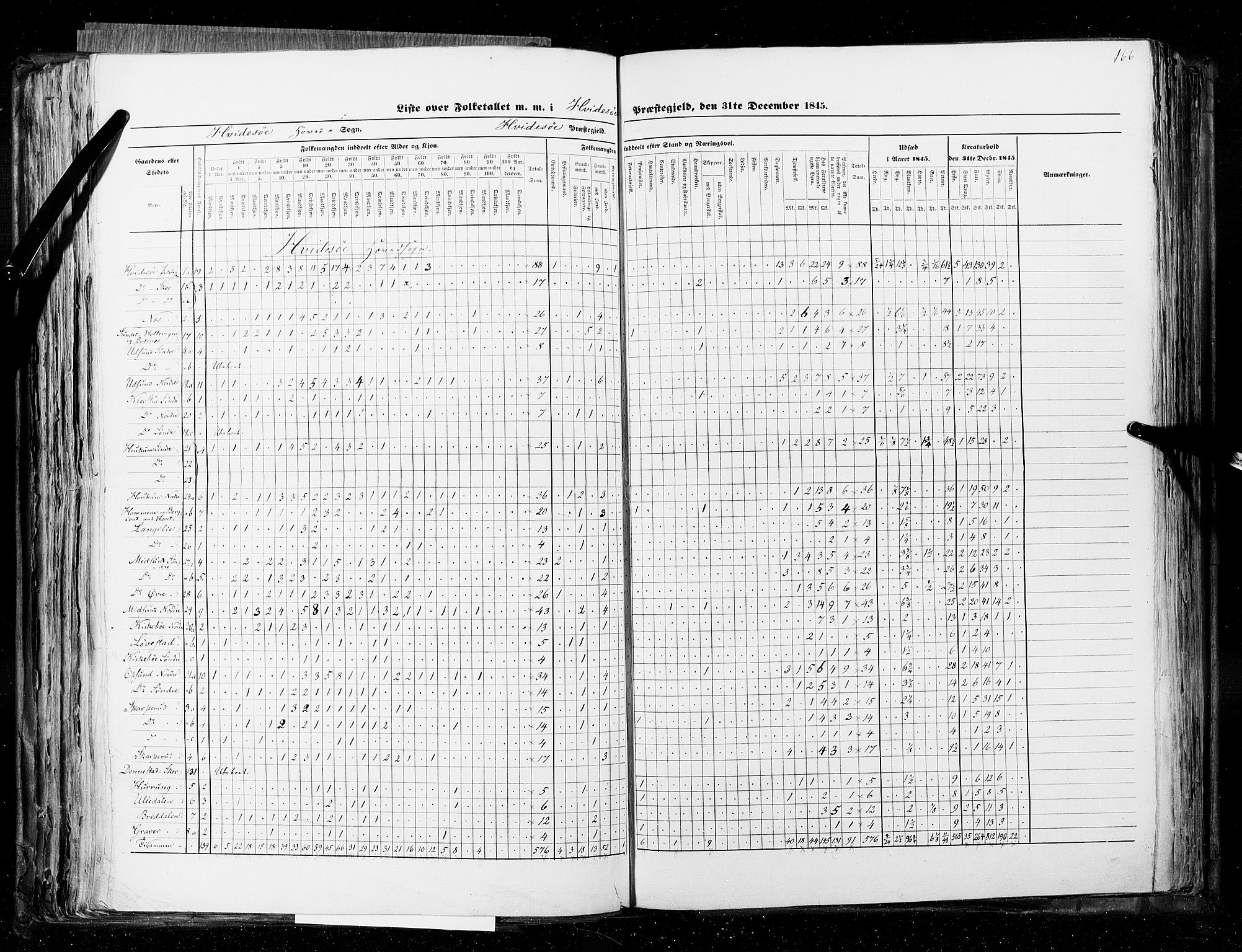 RA, Census 1845, vol. 5: Bratsberg amt og Nedenes og Råbyggelaget amt, 1845, p. 166