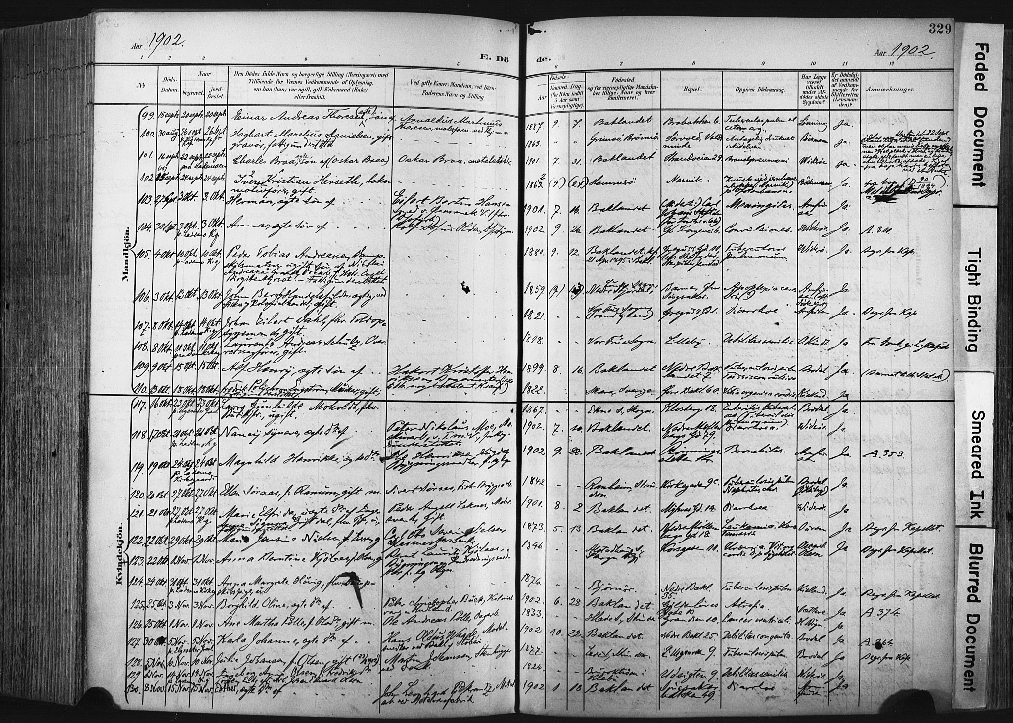 Ministerialprotokoller, klokkerbøker og fødselsregistre - Sør-Trøndelag, AV/SAT-A-1456/604/L0201: Parish register (official) no. 604A21, 1901-1911, p. 329