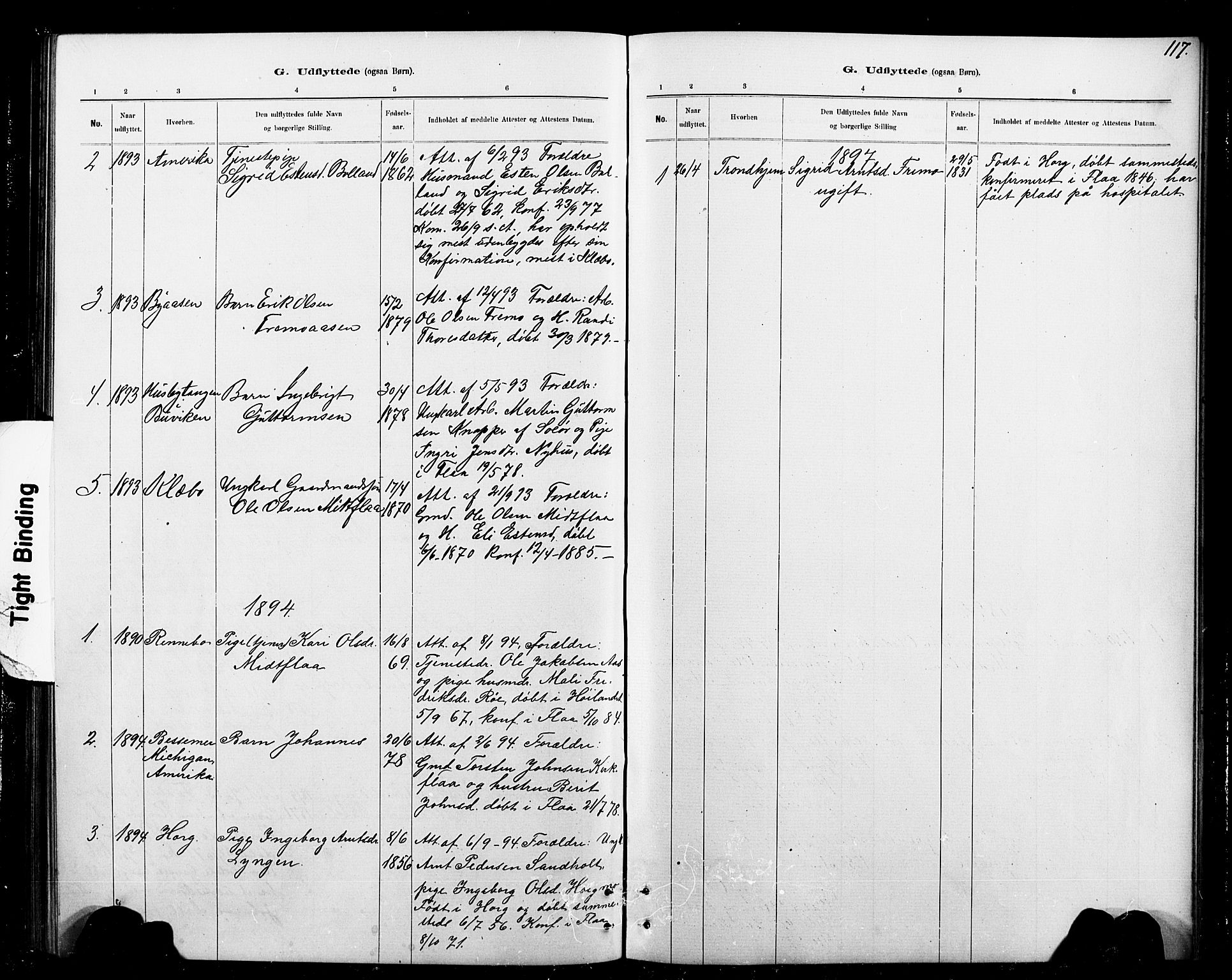 Ministerialprotokoller, klokkerbøker og fødselsregistre - Sør-Trøndelag, SAT/A-1456/693/L1123: Parish register (copy) no. 693C04, 1887-1910, p. 117