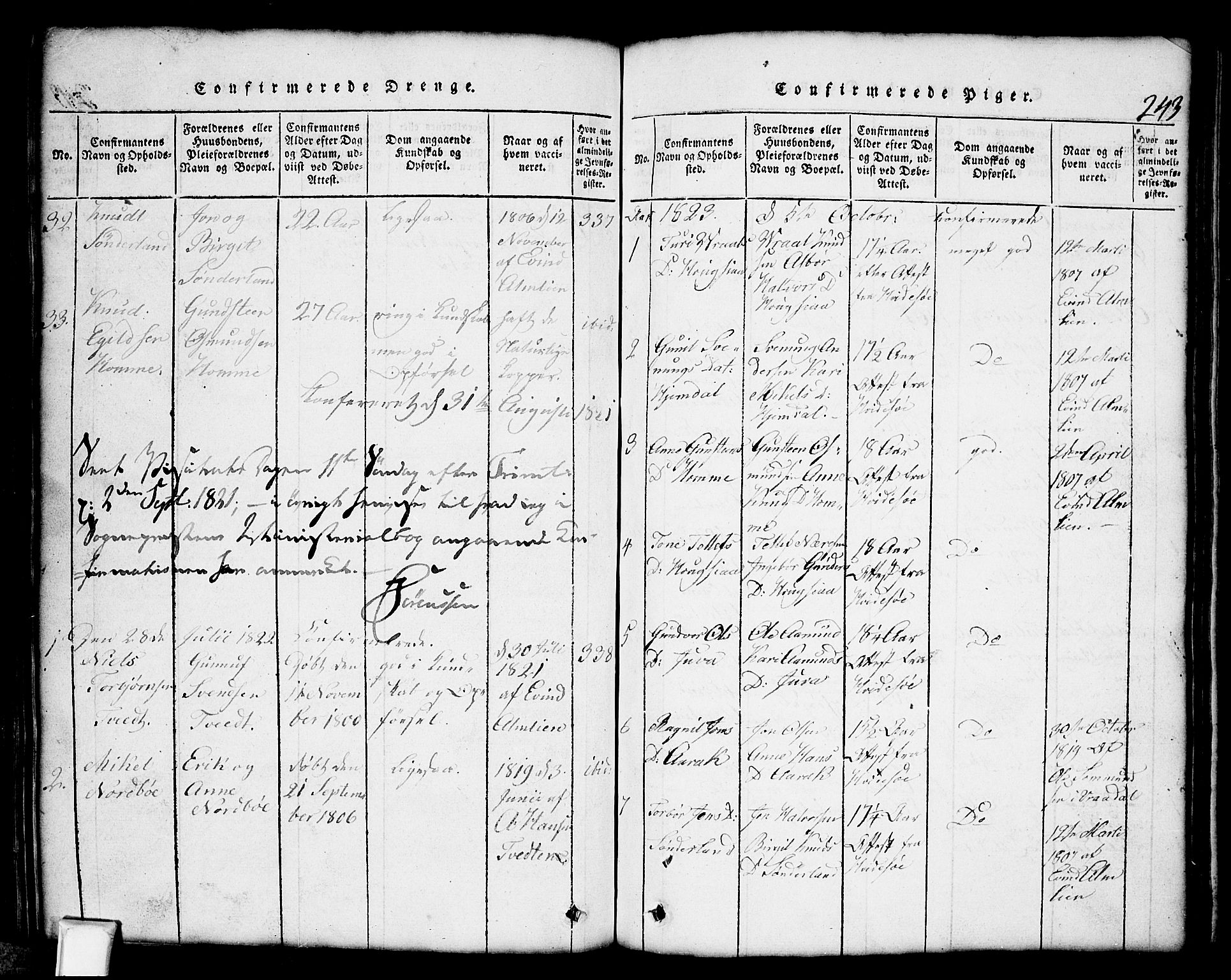 Nissedal kirkebøker, SAKO/A-288/G/Gb/L0001: Parish register (copy) no. II 1, 1814-1862, p. 243