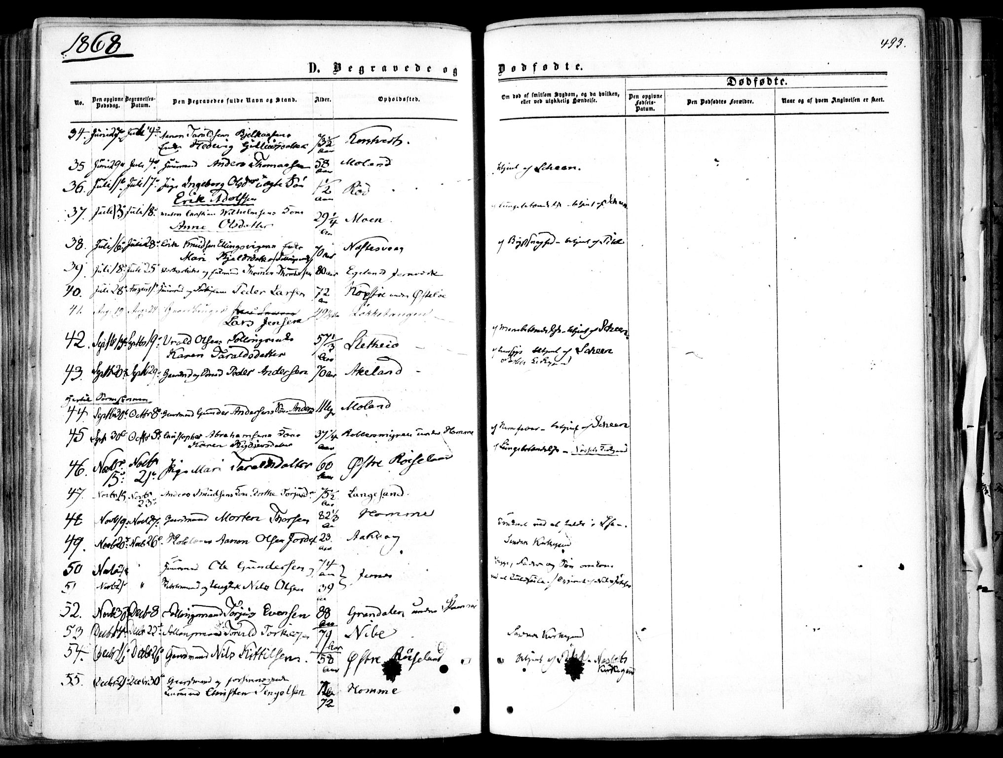 Søndeled sokneprestkontor, AV/SAK-1111-0038/F/Fa/L0003: Parish register (official) no. A 3, 1861-1879, p. 493