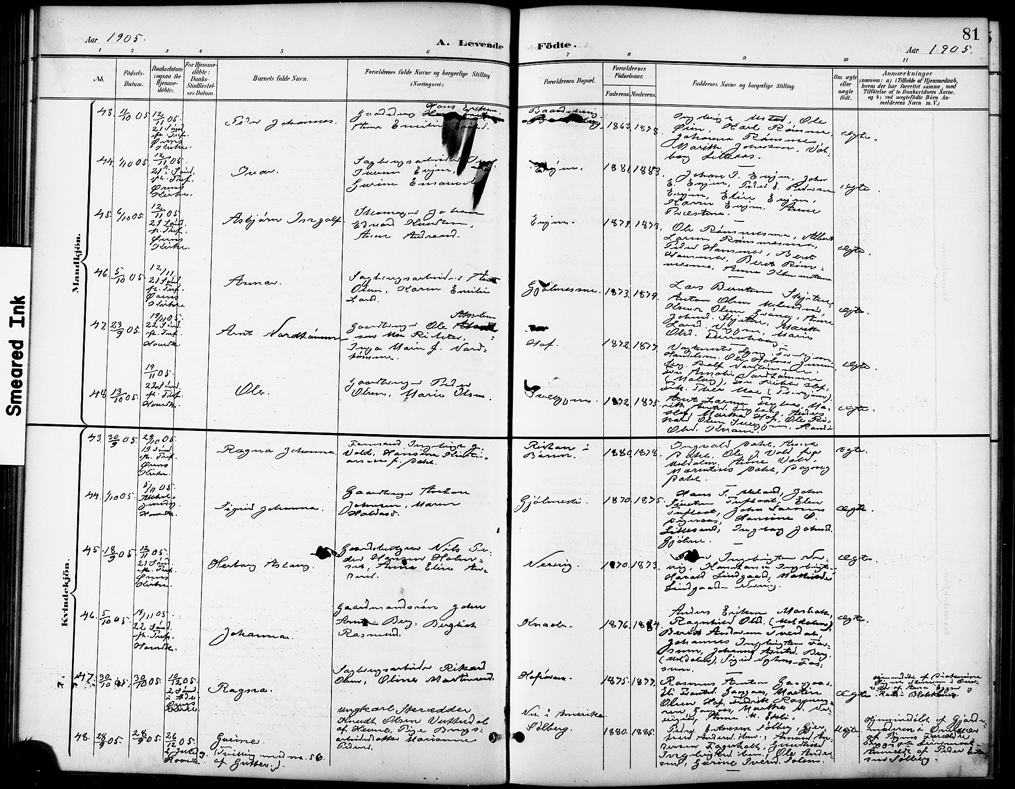 Ministerialprotokoller, klokkerbøker og fødselsregistre - Sør-Trøndelag, AV/SAT-A-1456/668/L0819: Parish register (copy) no. 668C08, 1899-1912, p. 81