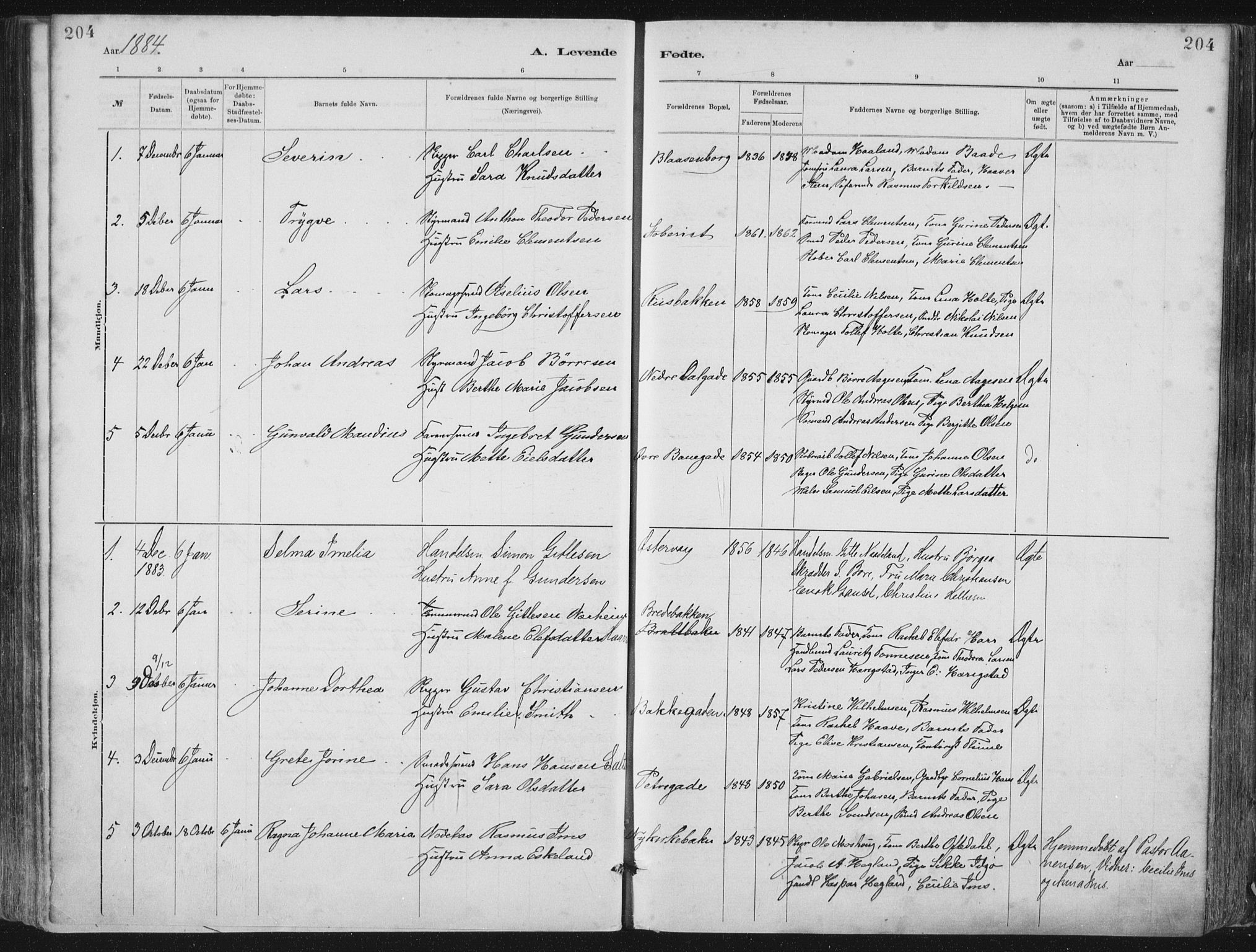 St. Petri sokneprestkontor, AV/SAST-A-101813/001/30/30BA/L0015: Parish register (official) no. A 15, 1879-1888, p. 204