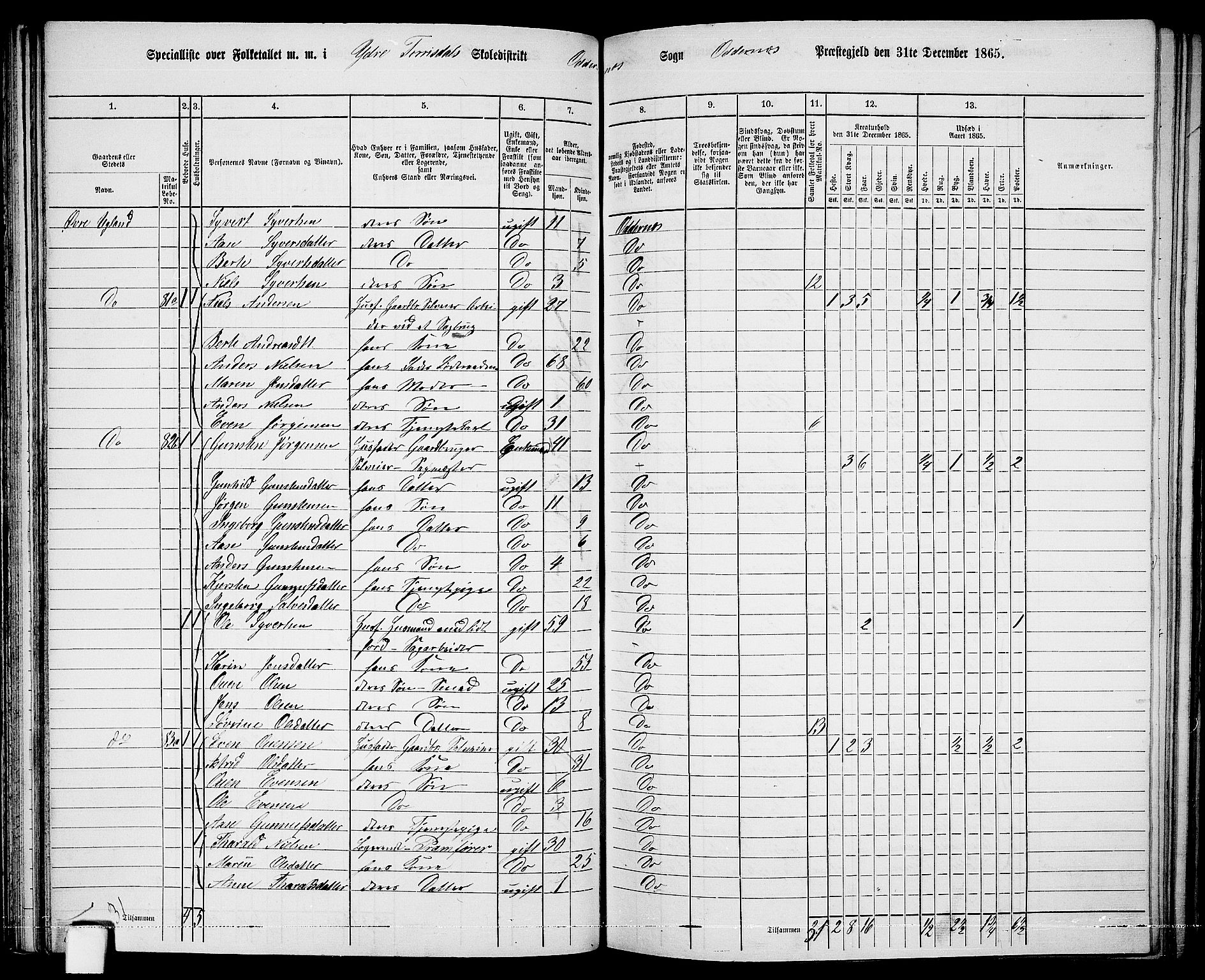 RA, 1865 census for Oddernes, 1865, p. 58