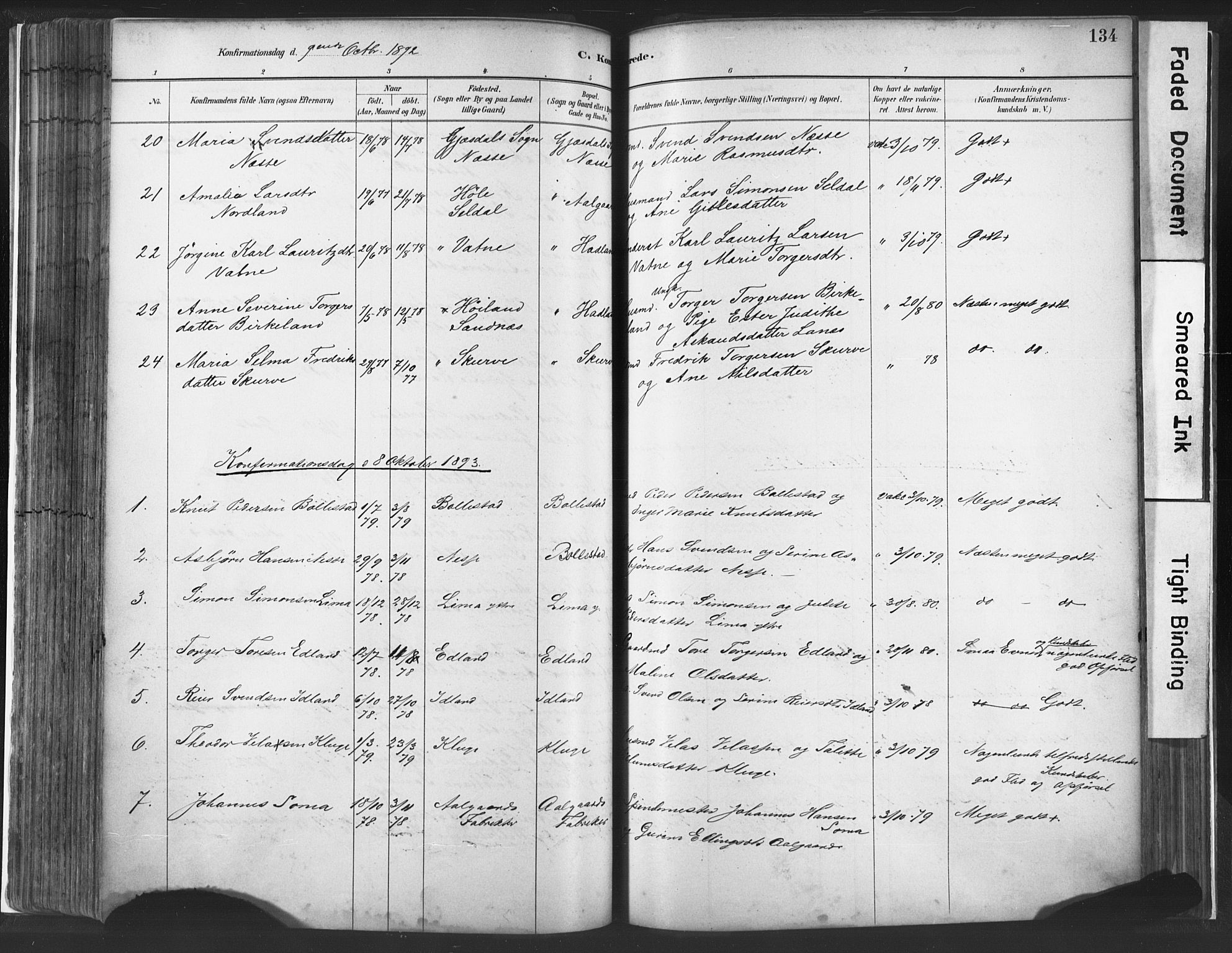 Lye sokneprestkontor, SAST/A-101794/001/30BA/L0010: Parish register (official) no. A 10, 1881-1896, p. 134