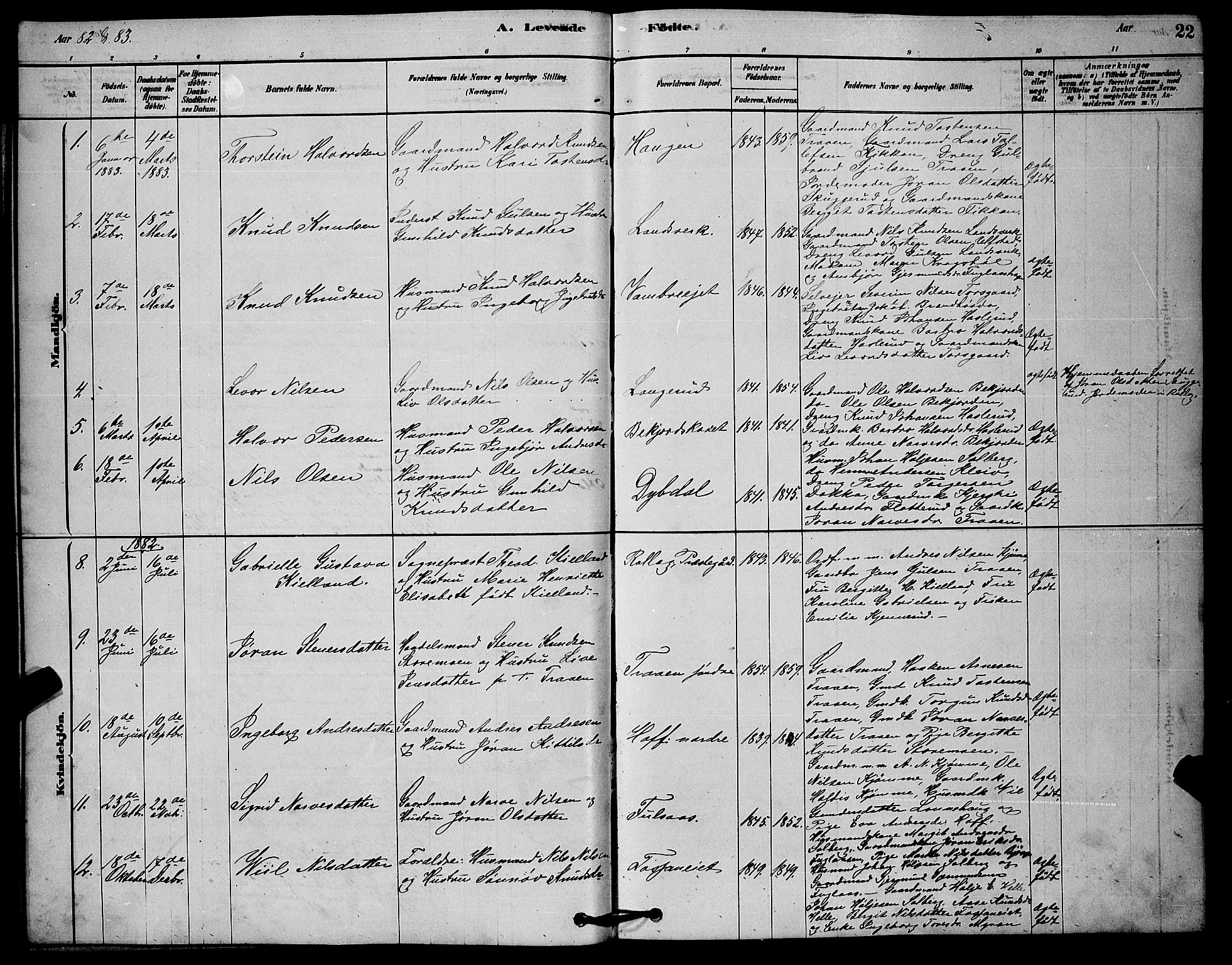 Rollag kirkebøker, SAKO/A-240/G/Ga/L0004: Parish register (copy) no. I 4, 1878-1903, p. 22