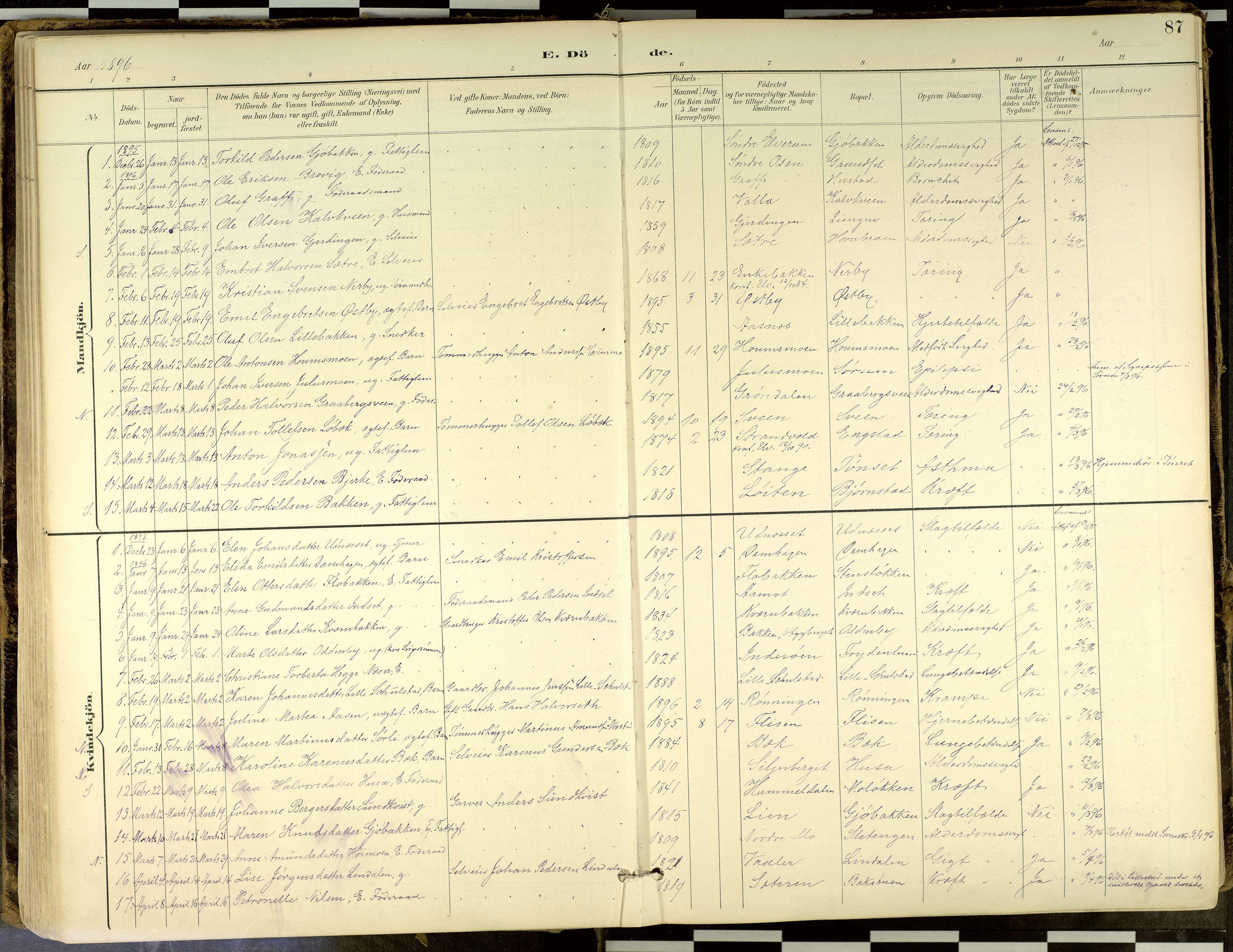 Elverum prestekontor, SAH/PREST-044/H/Ha/Haa/L0018: Parish register (official) no. 18, 1894-1914, p. 87