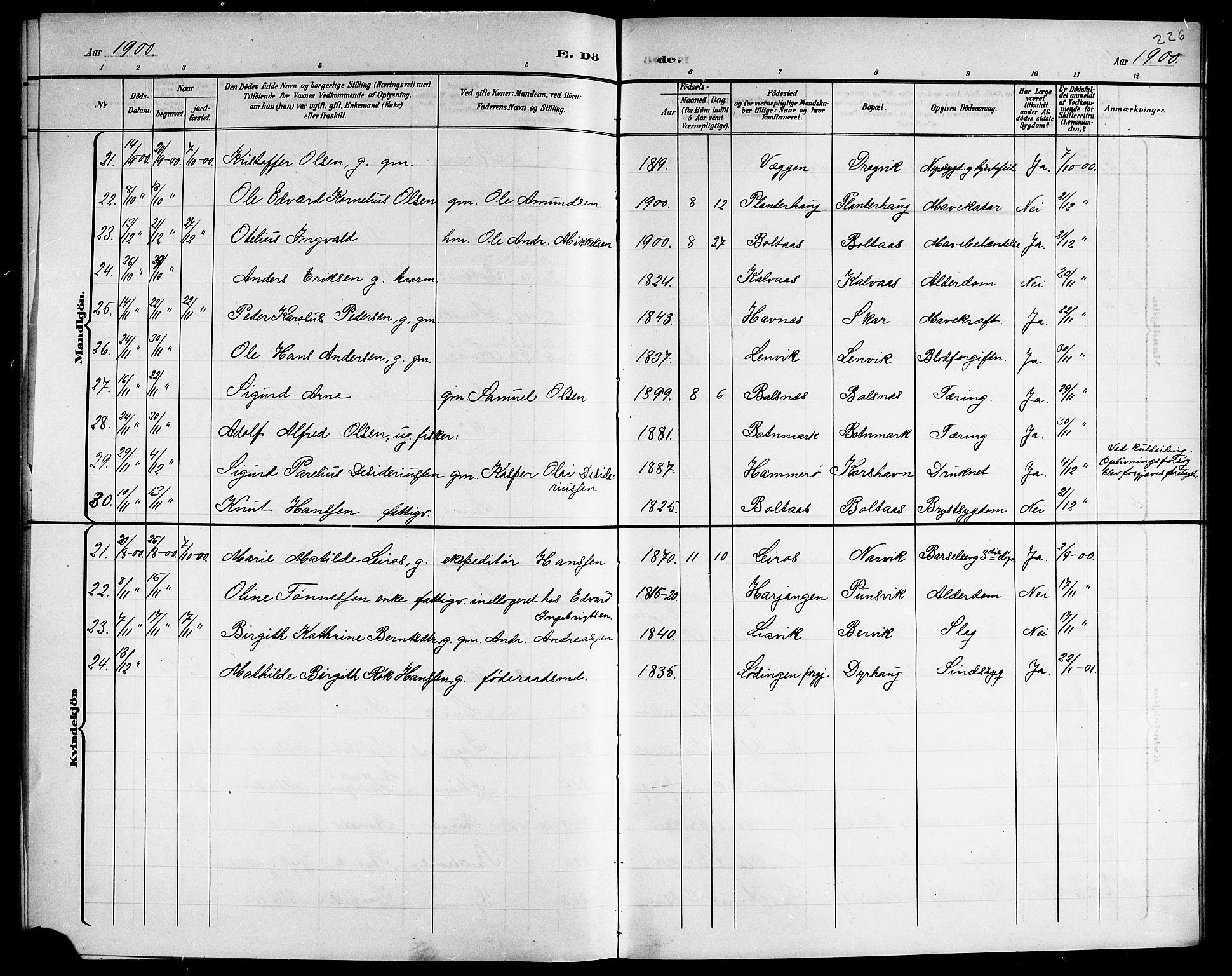 Ministerialprotokoller, klokkerbøker og fødselsregistre - Nordland, AV/SAT-A-1459/863/L0915: Parish register (copy) no. 863C05, 1898-1907, p. 226