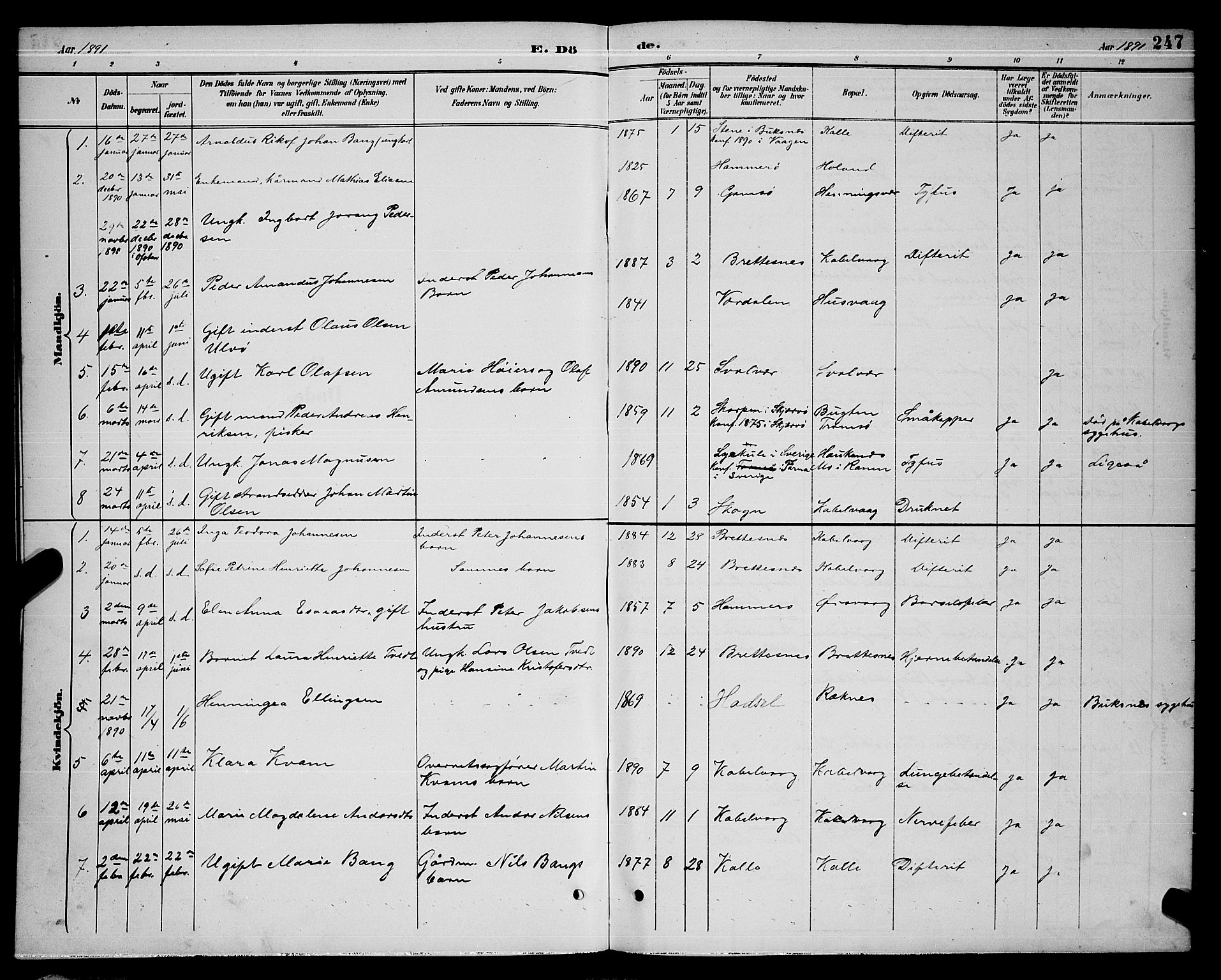 Ministerialprotokoller, klokkerbøker og fødselsregistre - Nordland, AV/SAT-A-1459/874/L1077: Parish register (copy) no. 874C06, 1891-1900, p. 247