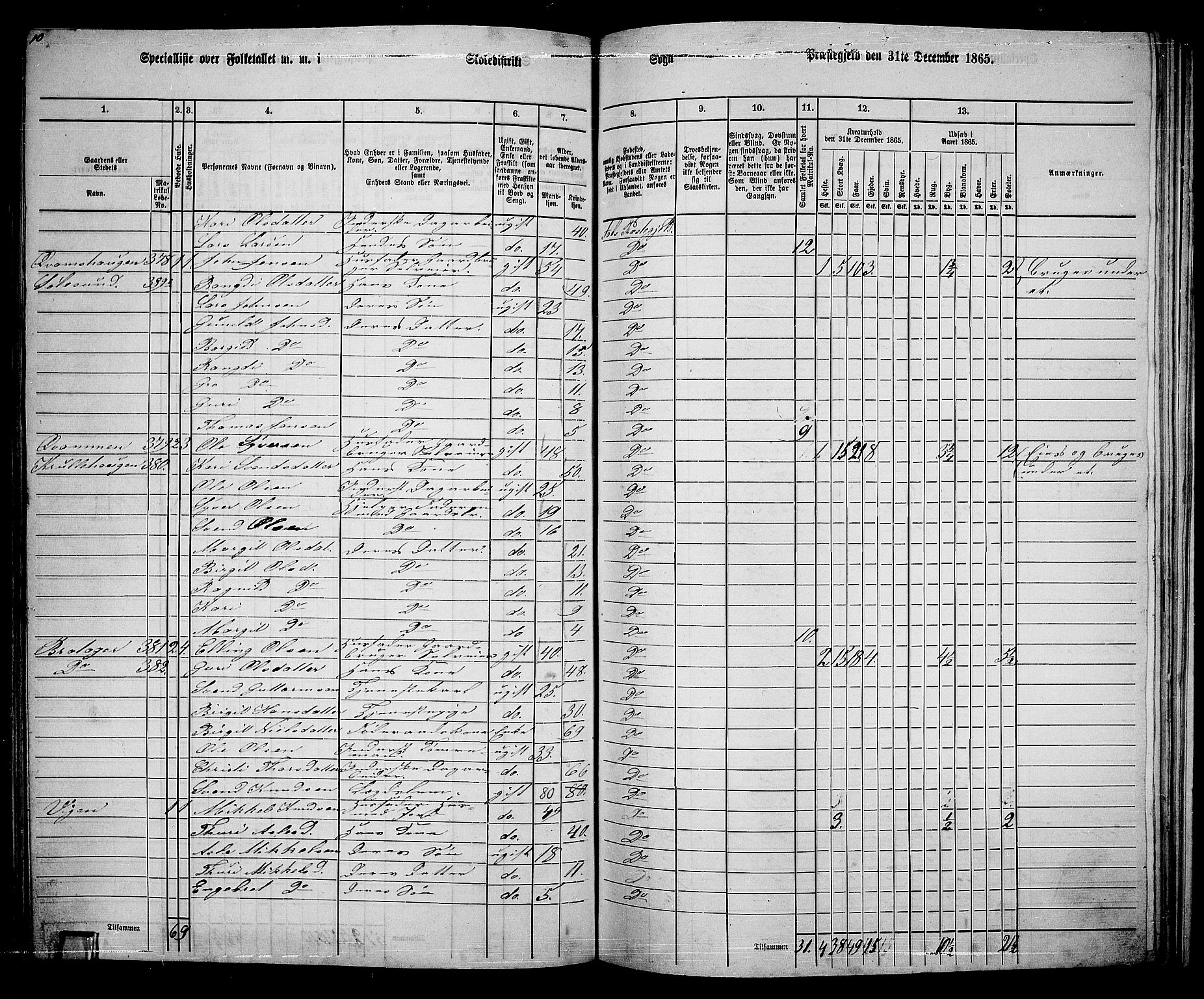 RA, 1865 census for Ål, 1865, p. 191