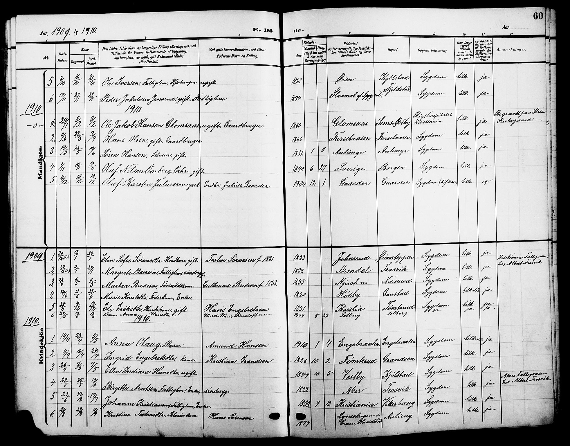 Sør-Odal prestekontor, AV/SAH-PREST-030/H/Ha/Hab/L0006: Parish register (copy) no. 6, 1906-1919, p. 60