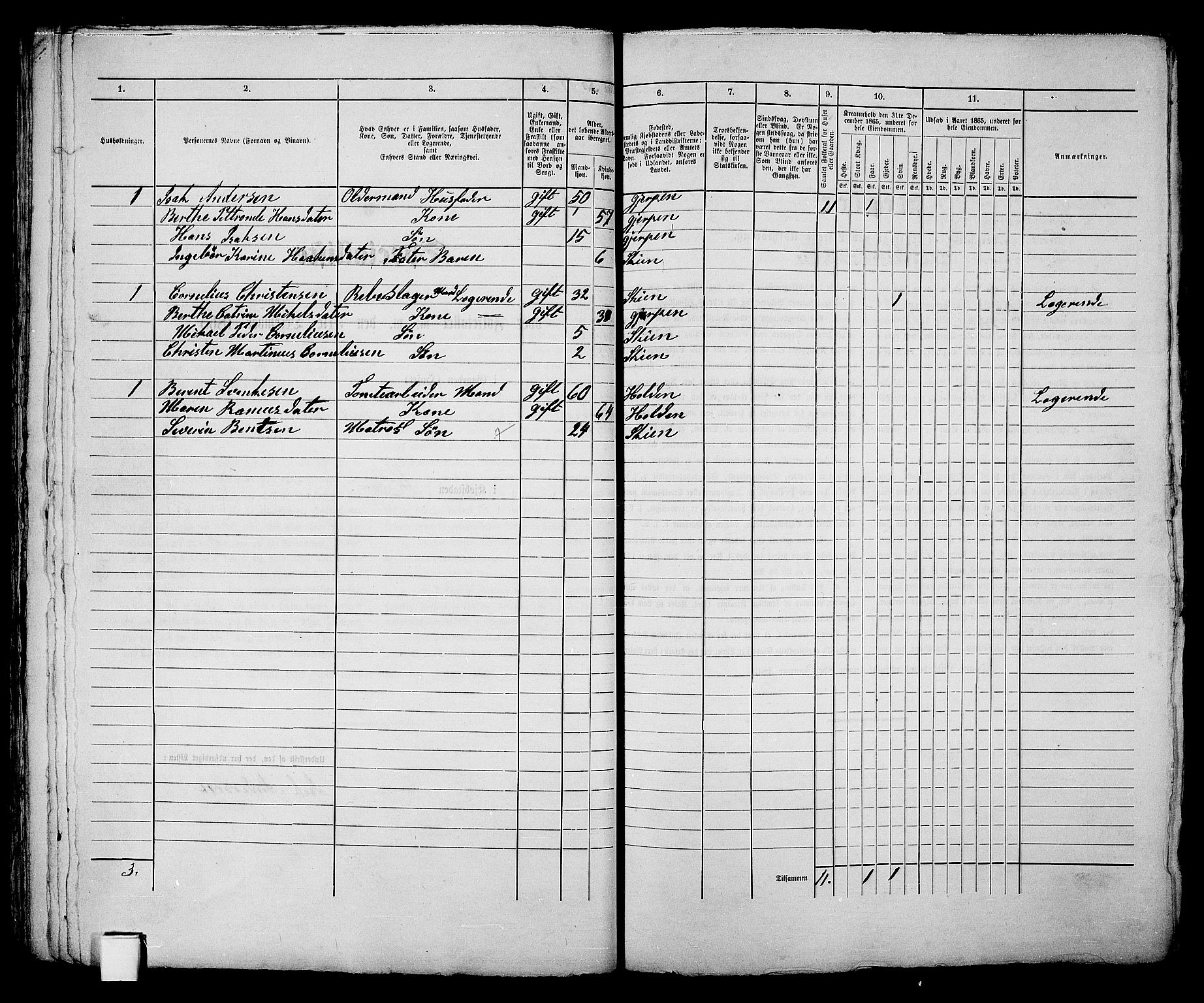 RA, 1865 census for Skien, 1865, p. 96