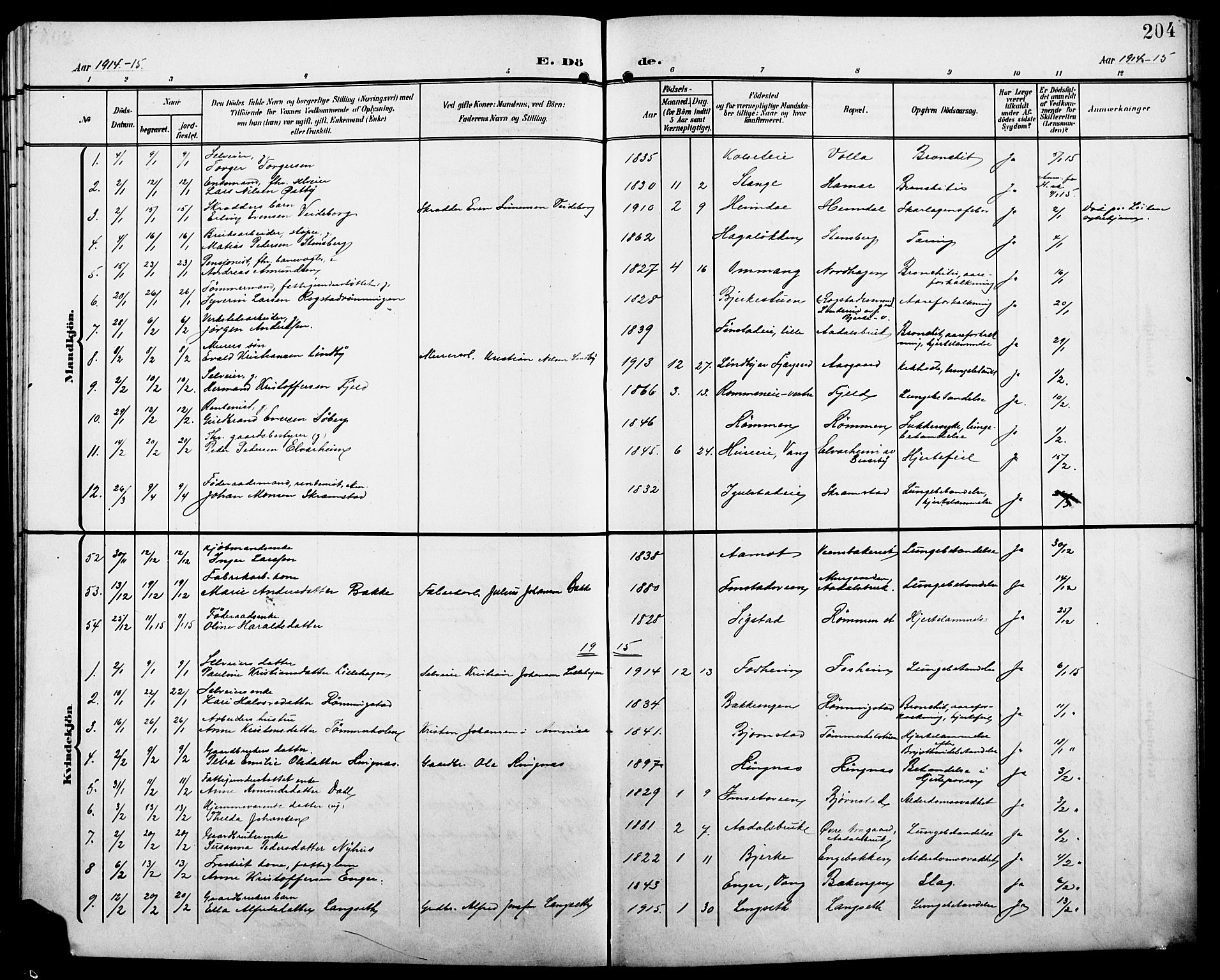 Løten prestekontor, SAH/PREST-022/L/La/L0007: Parish register (copy) no. 7, 1910-1919, p. 204