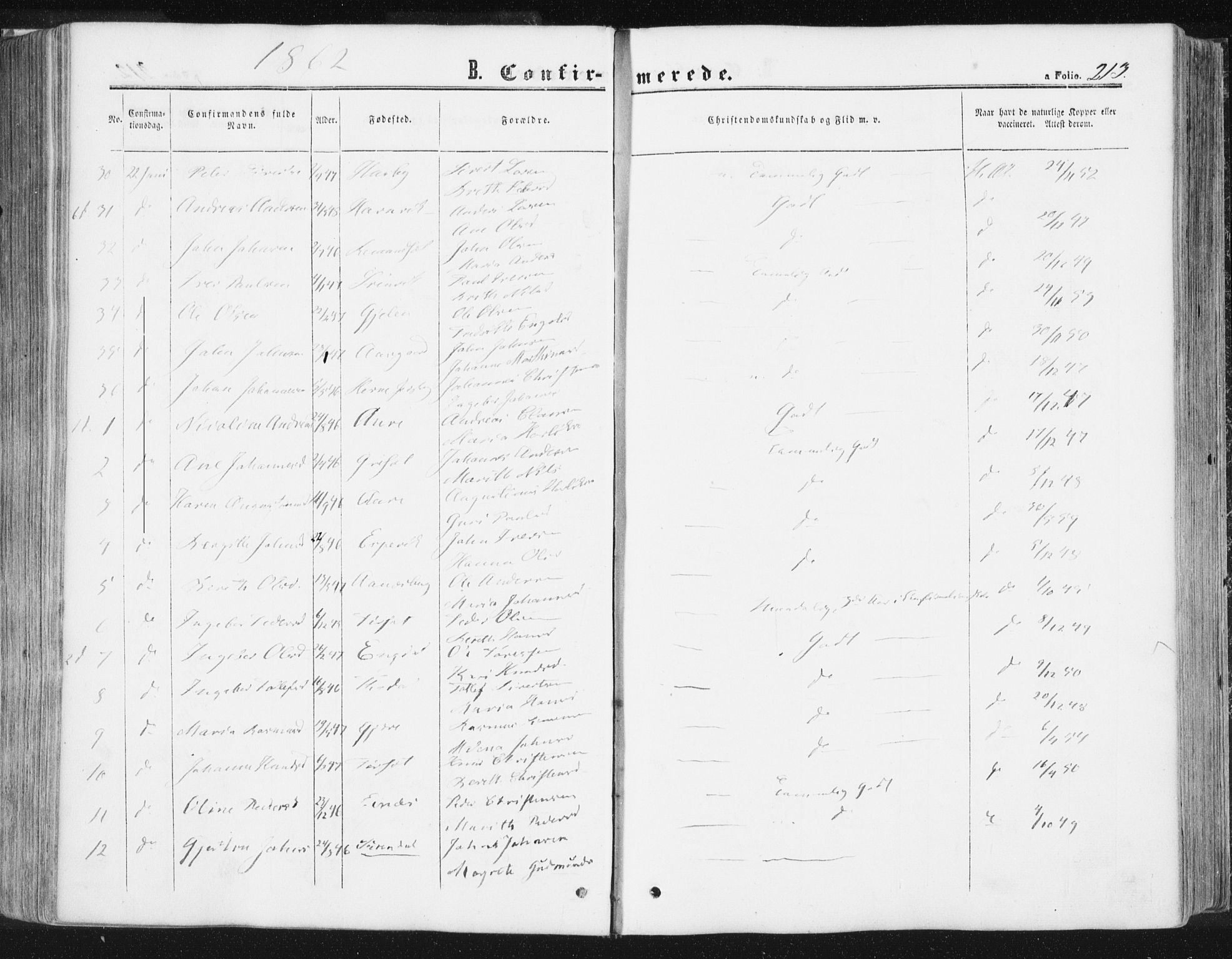 Ministerialprotokoller, klokkerbøker og fødselsregistre - Møre og Romsdal, AV/SAT-A-1454/578/L0905: Parish register (official) no. 578A04, 1859-1877, p. 213