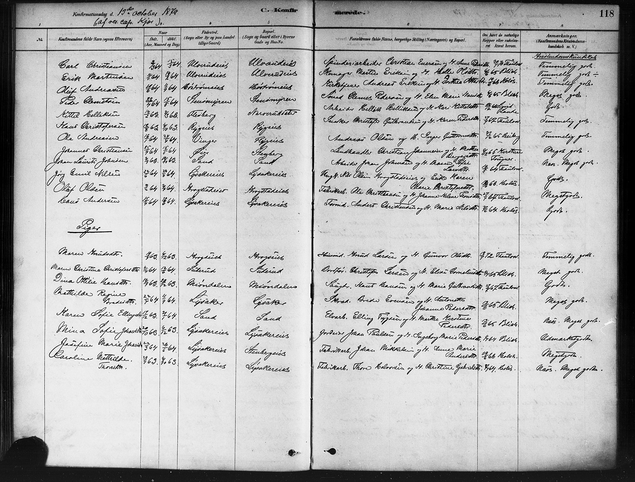 Nedre Eiker kirkebøker, SAKO/A-612/F/Fa/L0002: Parish register (official) no. 2, 1878-1885, p. 118