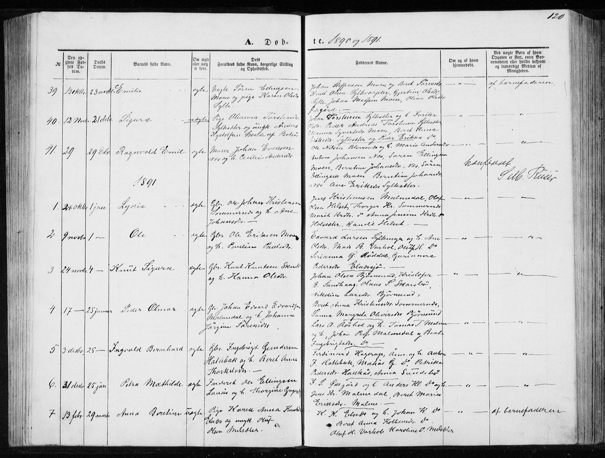 Ministerialprotokoller, klokkerbøker og fødselsregistre - Møre og Romsdal, SAT/A-1454/565/L0754: Parish register (copy) no. 565C03, 1870-1896, p. 120