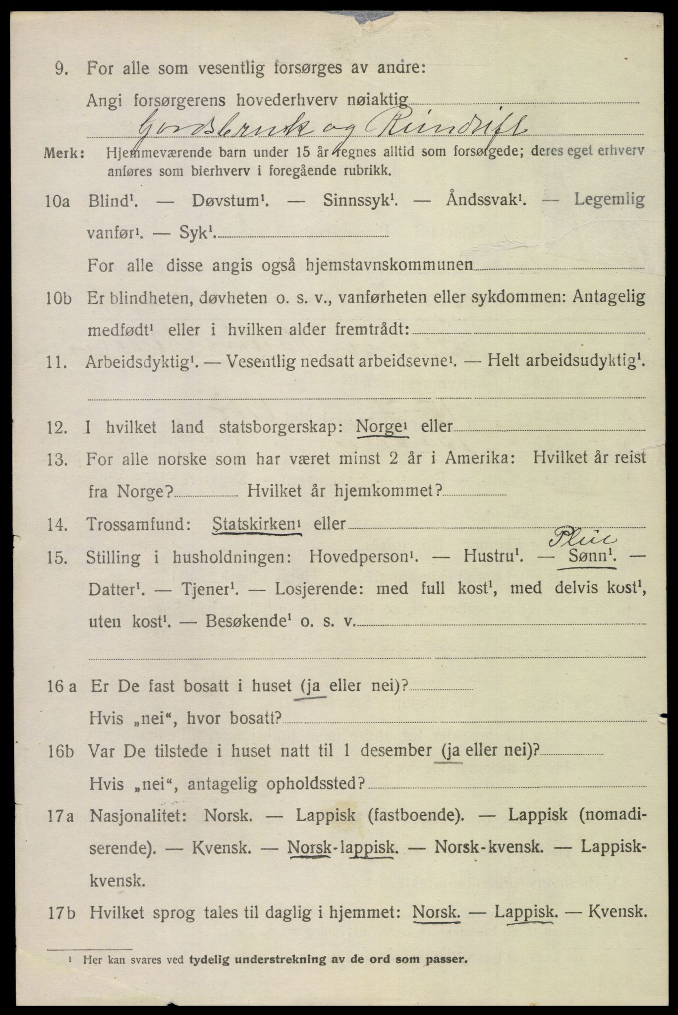 SAT, 1920 census for Bodin, 1920, p. 9315