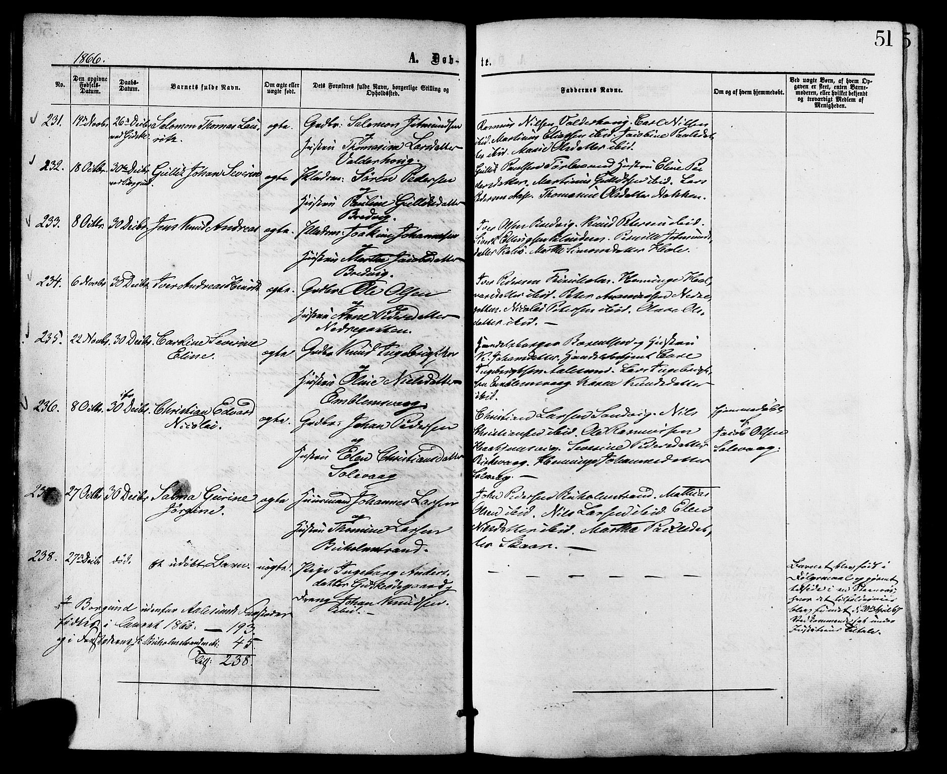 Ministerialprotokoller, klokkerbøker og fødselsregistre - Møre og Romsdal, AV/SAT-A-1454/528/L0399: Parish register (official) no. 528A10, 1864-1879, p. 51