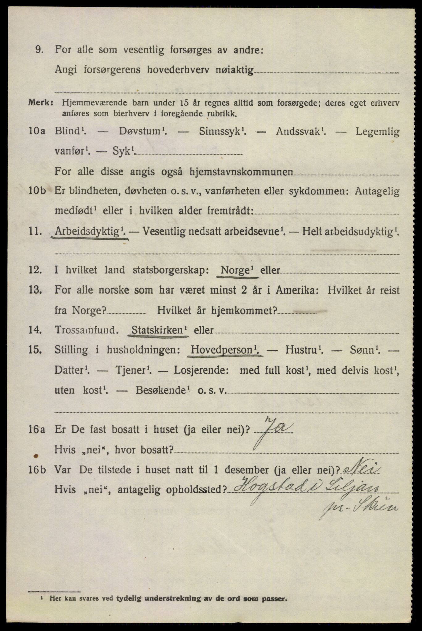 SAKO, 1920 census for Gjerpen, 1920, p. 13919