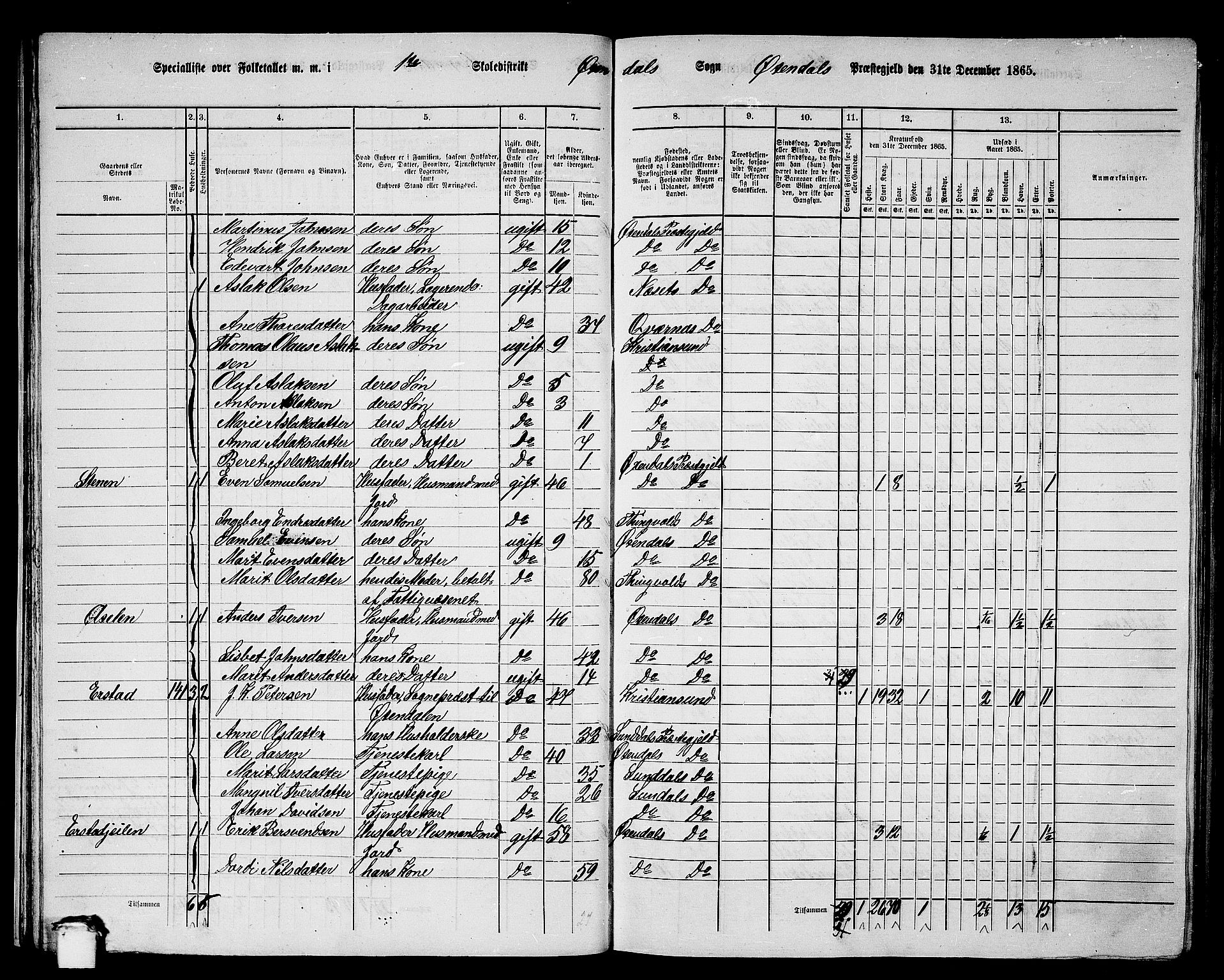 RA, 1865 census for Øksendal, 1865, p. 25