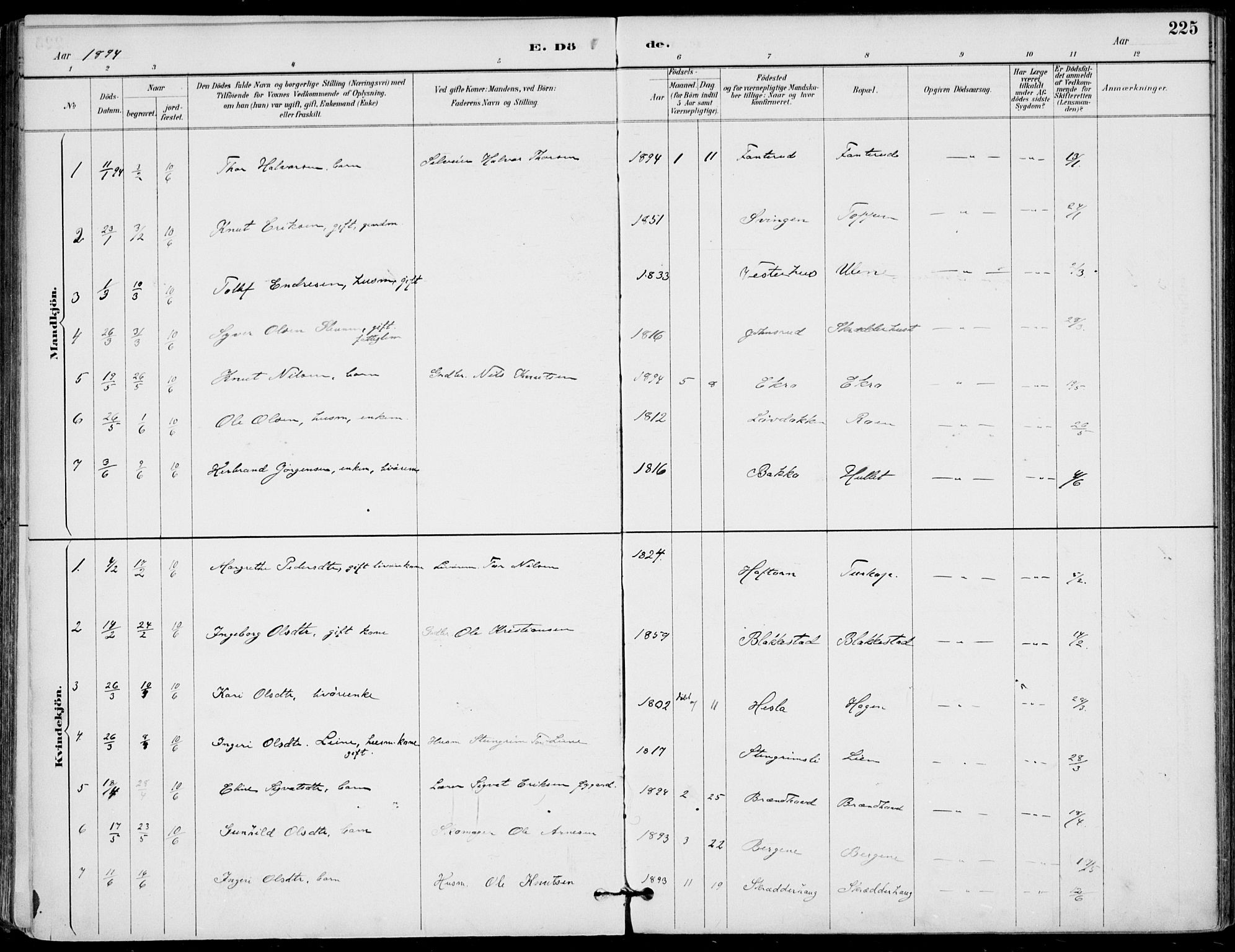 Gol kirkebøker, SAKO/A-226/F/Fa/L0005: Parish register (official) no. I 5, 1887-1900, p. 225