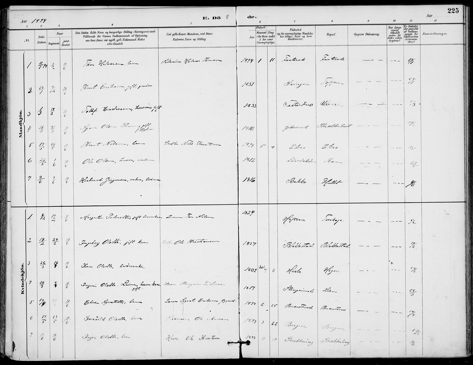 Gol kirkebøker, AV/SAKO-A-226/F/Fa/L0005: Parish register (official) no. I 5, 1887-1900, p. 225